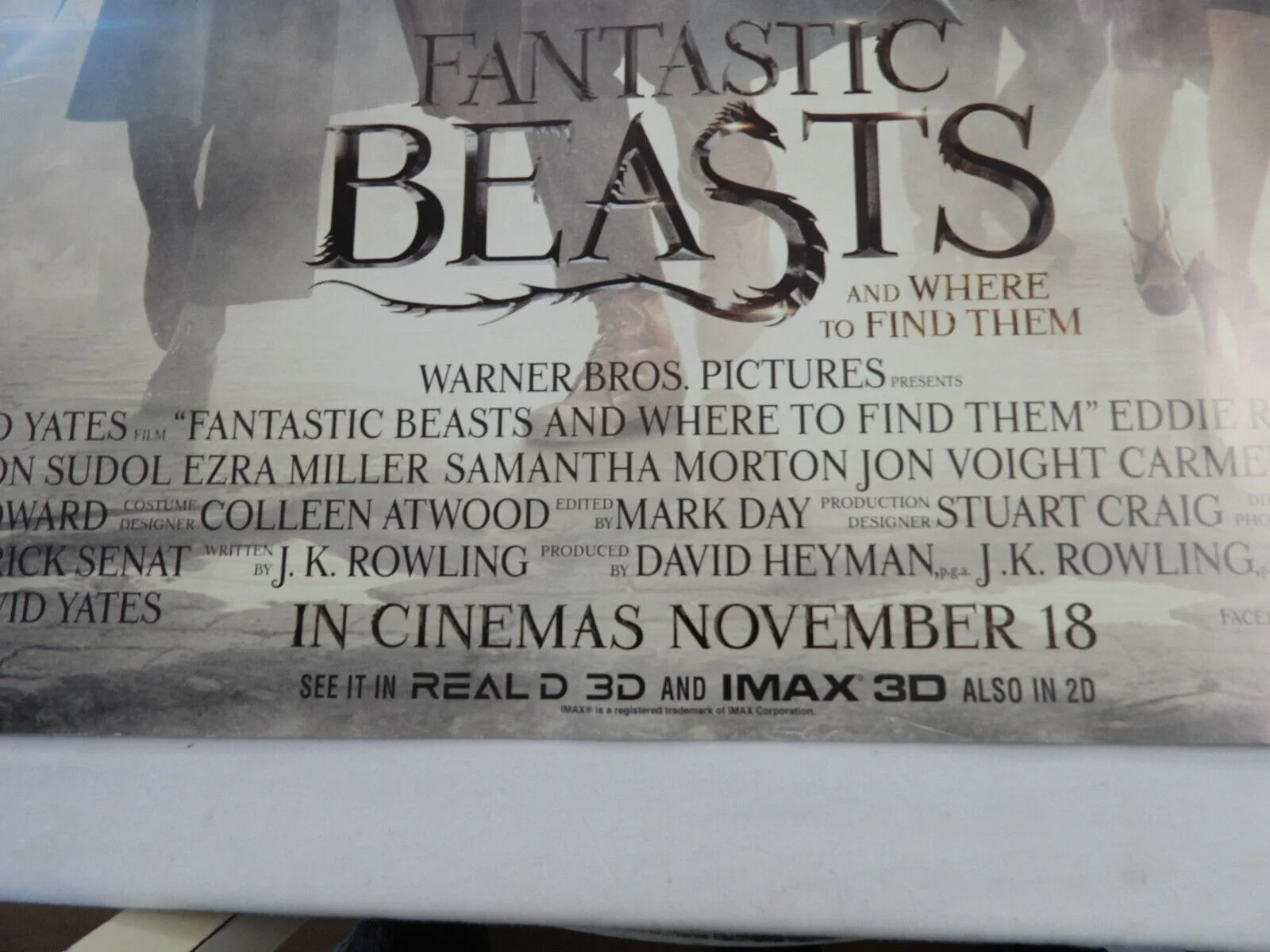 Cinema Poster FANTASTIC BEASTS AND WHERE TO FIND THEM 2016 40" x 30" J K Rowling, изображение 2