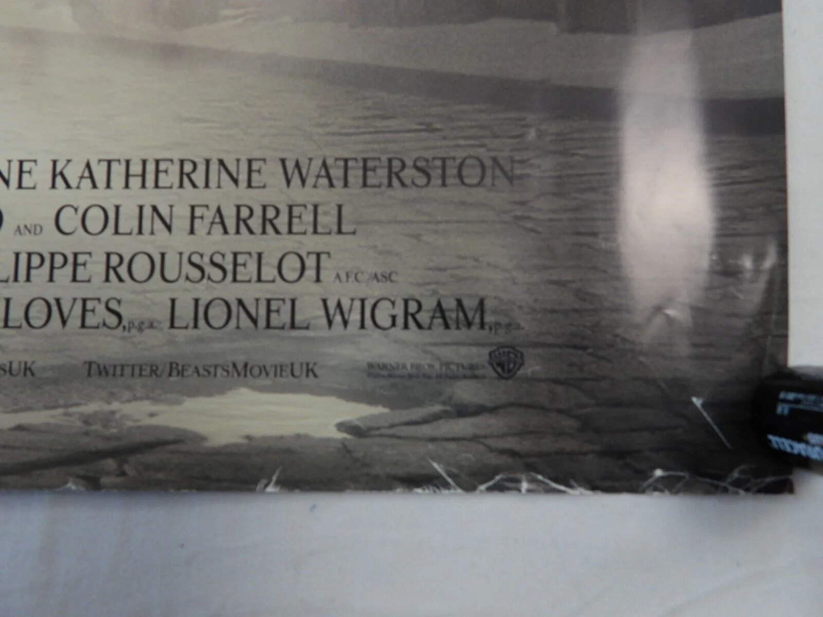 Cinema Poster FANTASTIC BEASTS AND WHERE TO FIND THEM 2016 40" x 30" J K Rowling, изображение 3