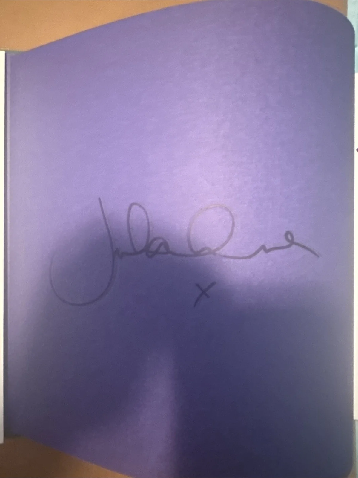 Julian Lennon Hand Signed In Person Love The Earth Hard Cover Book, изображение 2