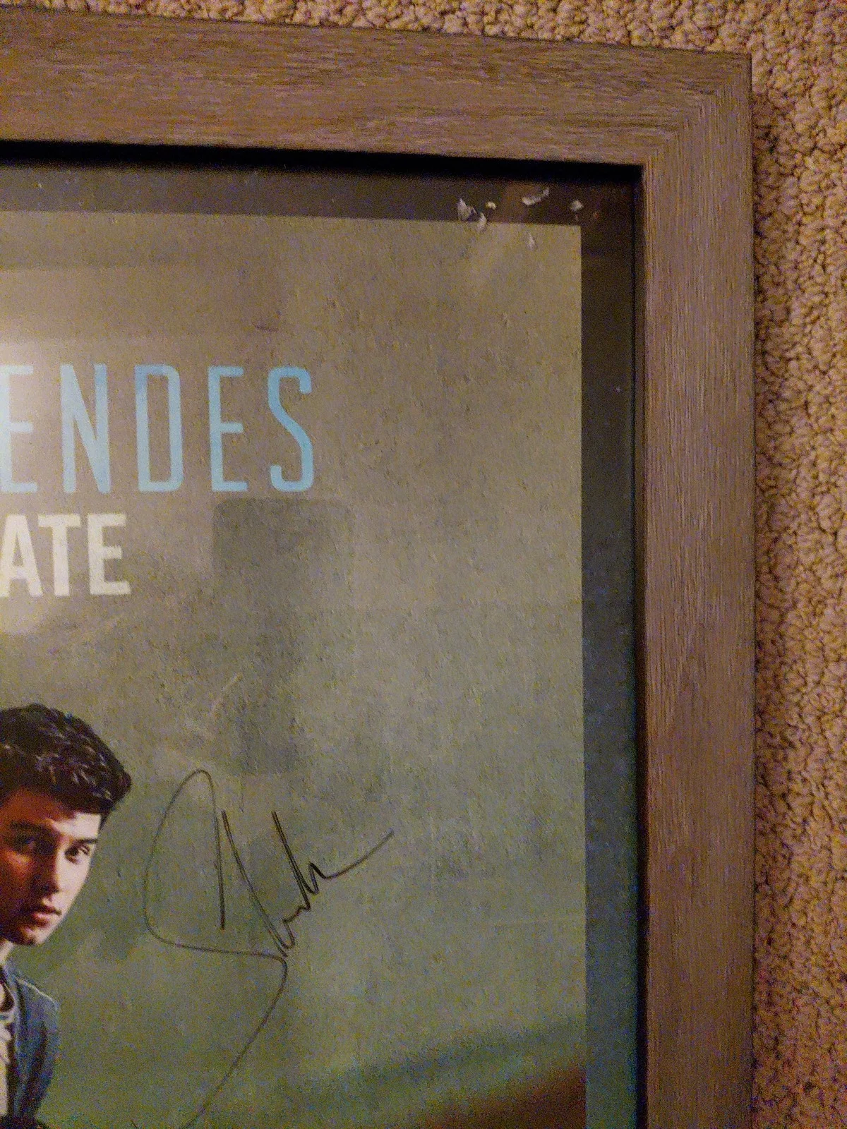 SHAWN MENDES SIGNED 18X24 FRAMED CONCERT TOUR POSTER ILLUMINATE TOUR, изображение 4