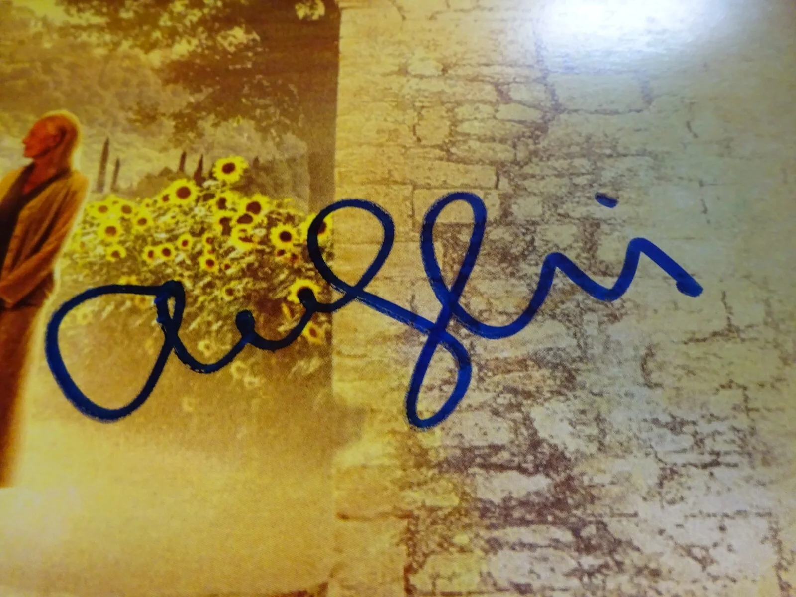 Amanda Seyfried — Signed Amanda Seyfried Autographed Letters to Juliet Photo 11"x17" Beckett COA, изображение 5