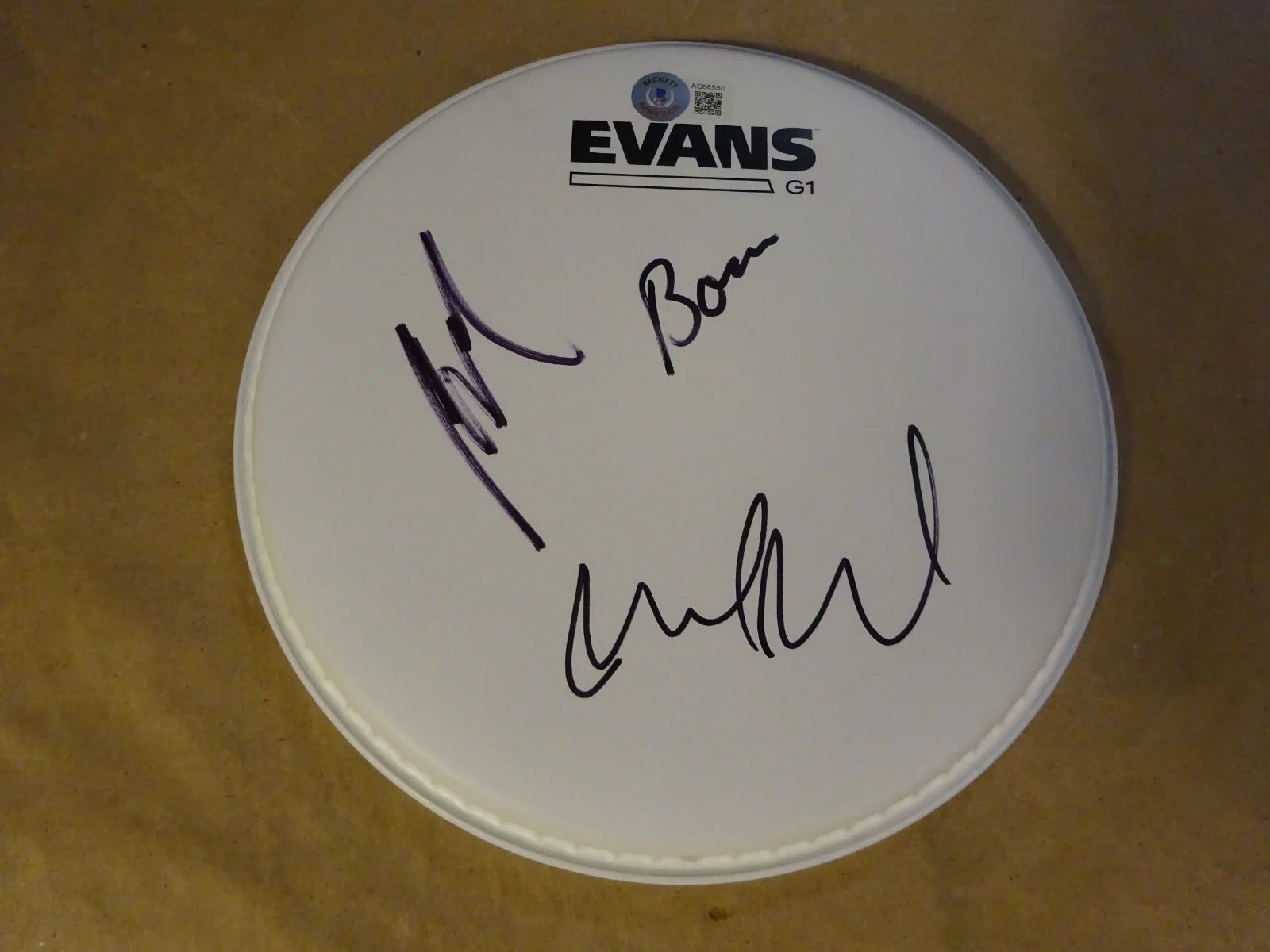 Autographed Pearl Jam Drum Head Signed By 3 Beckett BAS LOA COA McCready Cameron, image 2