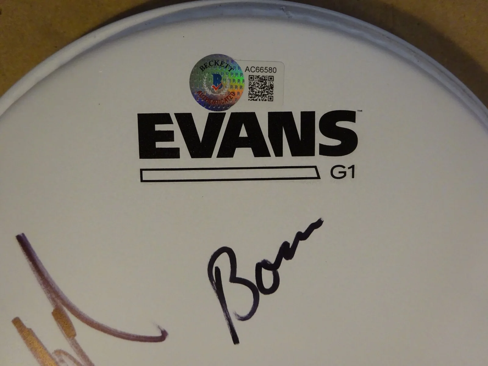Autographed Pearl Jam Drum Head Signed By 3 Beckett BAS LOA COA McCready Cameron, image 3