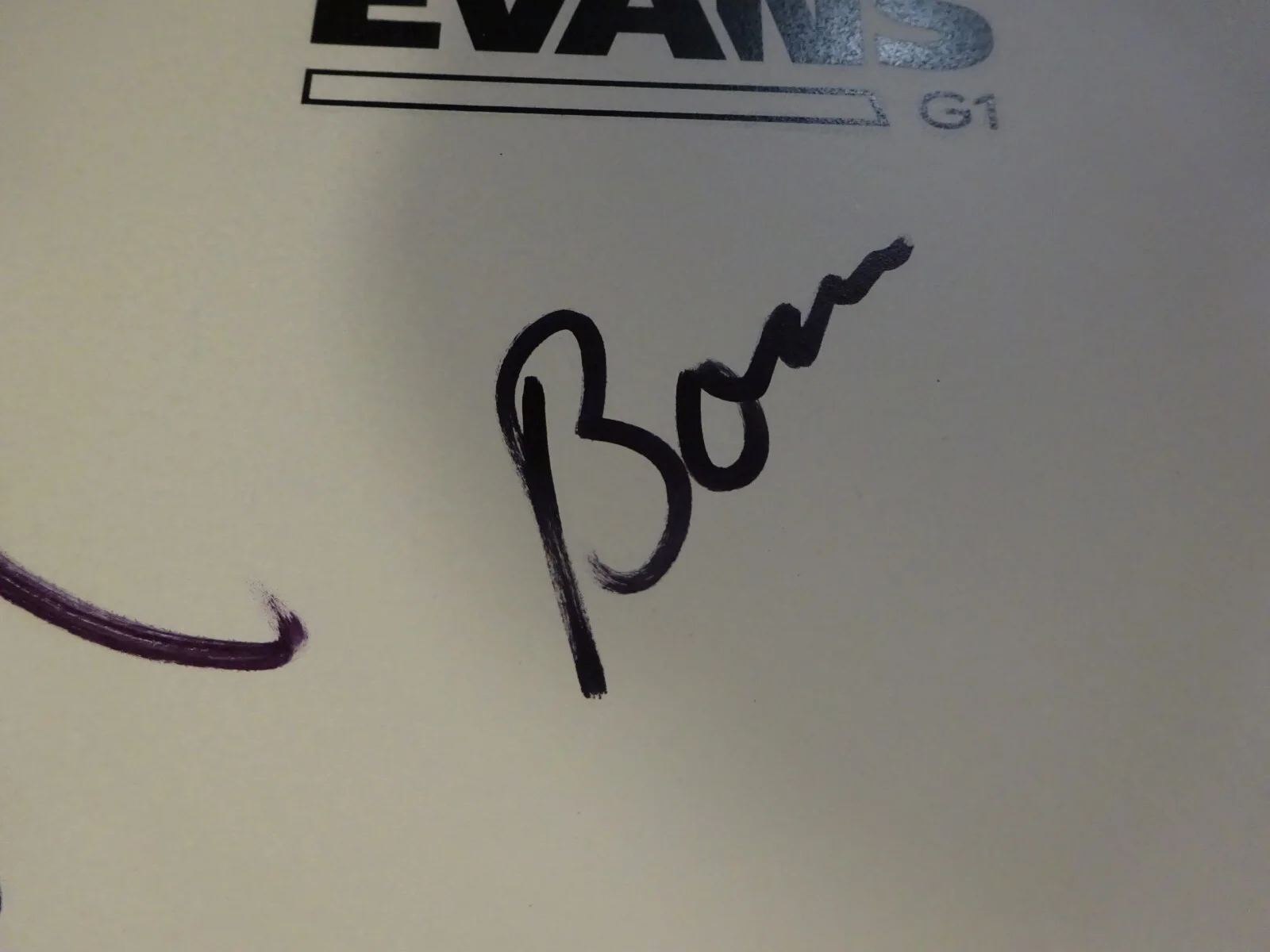Autographed Pearl Jam Drum Head Signed By 3 Beckett BAS LOA COA McCready Cameron, image 4