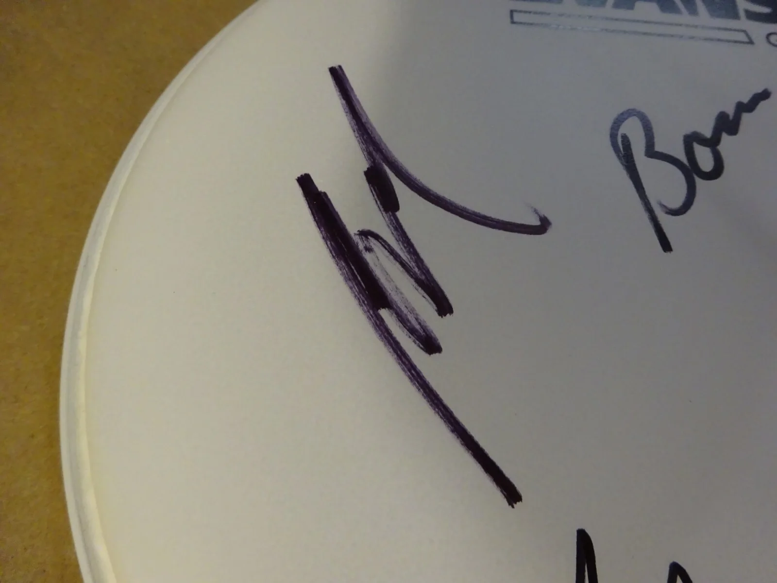 Autographed Pearl Jam Drum Head Signed By 3 Beckett BAS LOA COA McCready Cameron, image 5