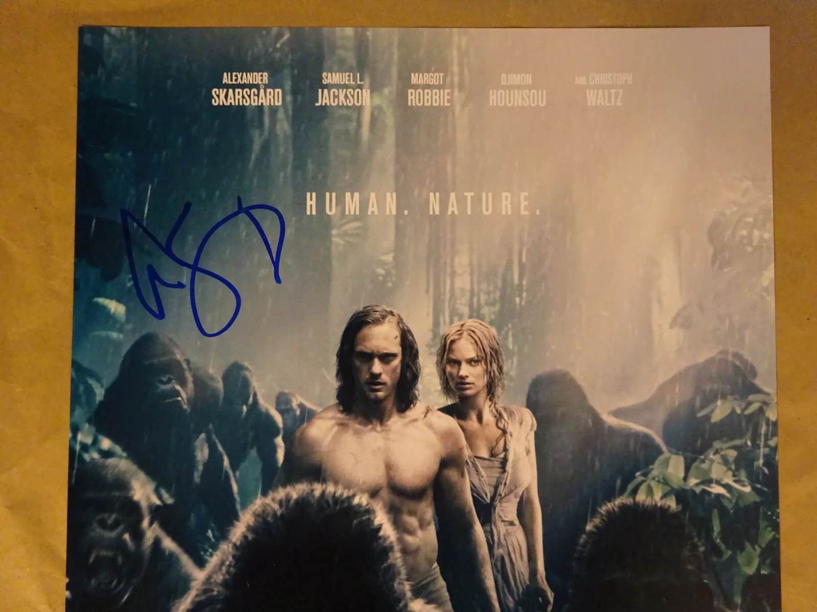Alexander Skarsgard — Signed Alexander Skarsgard Autographed The Legend Of Tarzan 12x18 Photo BAS COA, изображение 4