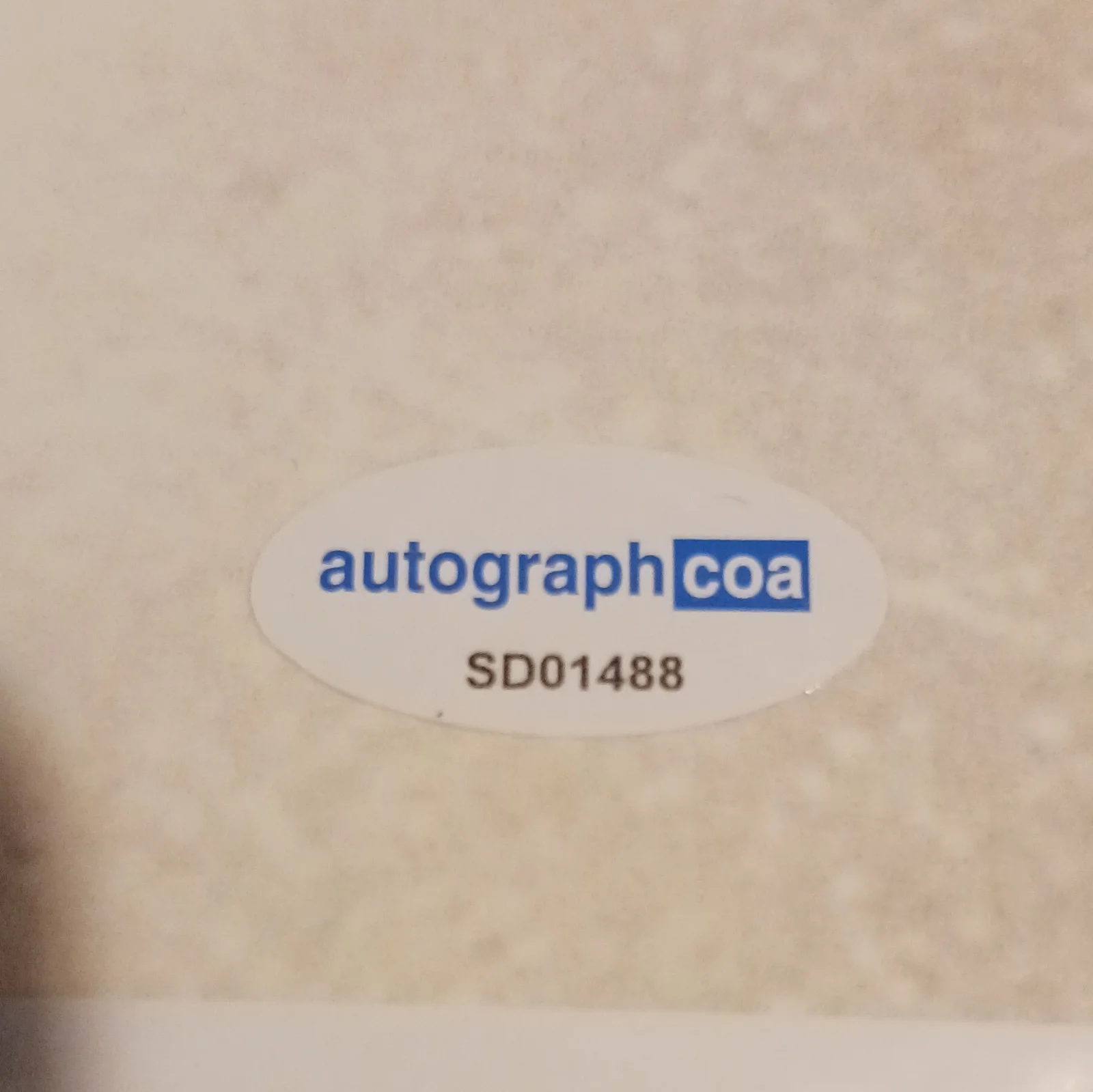Sky Ferreira autograph COA Authenticated Original Signed Photo, image 2