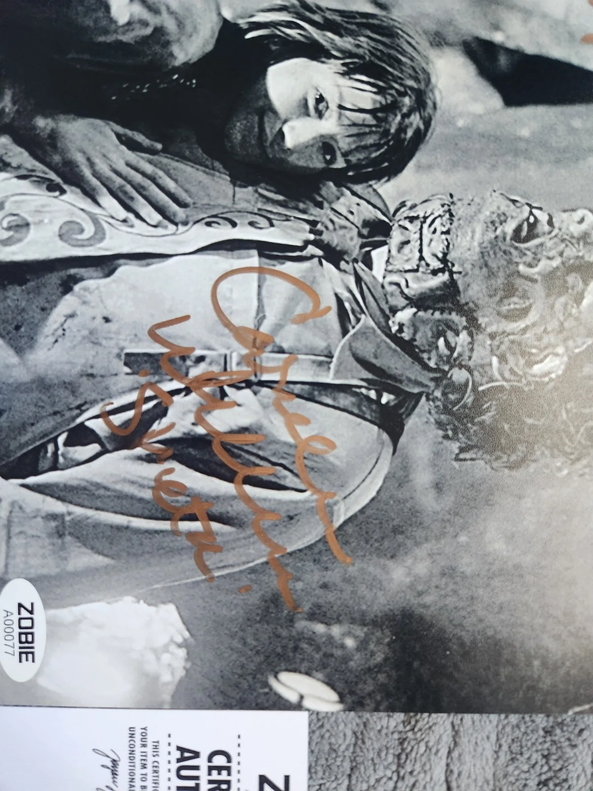 Caroline Williams — Caroline Williams signed 8X10 Photo The Texas Chainsaw Massacre II W/ Zobie COA, изображение 3
