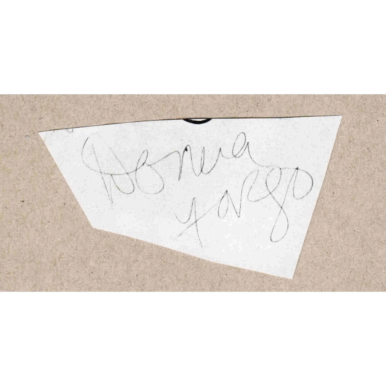 1981 Donna Fargo Signed Autograph w/ Fan Taken 3.5 x 3.5 OOAK Photo Vintage, изображение 2