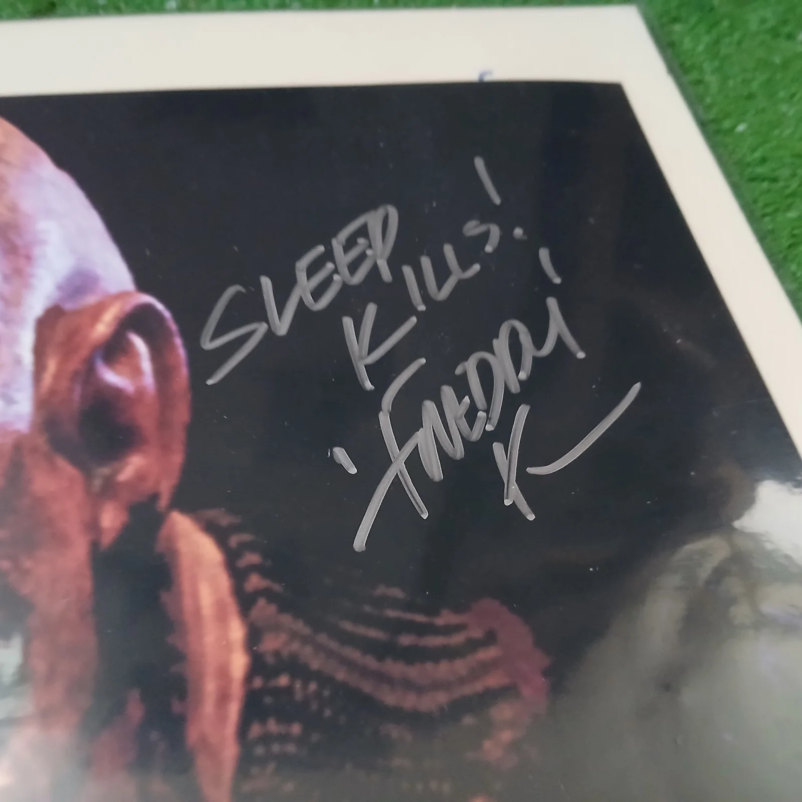 Robert Englund — Robert Englund Autograph SLEEP KILLS Signed 8x10 Freddy Krueger N.O.E S COA, image 3