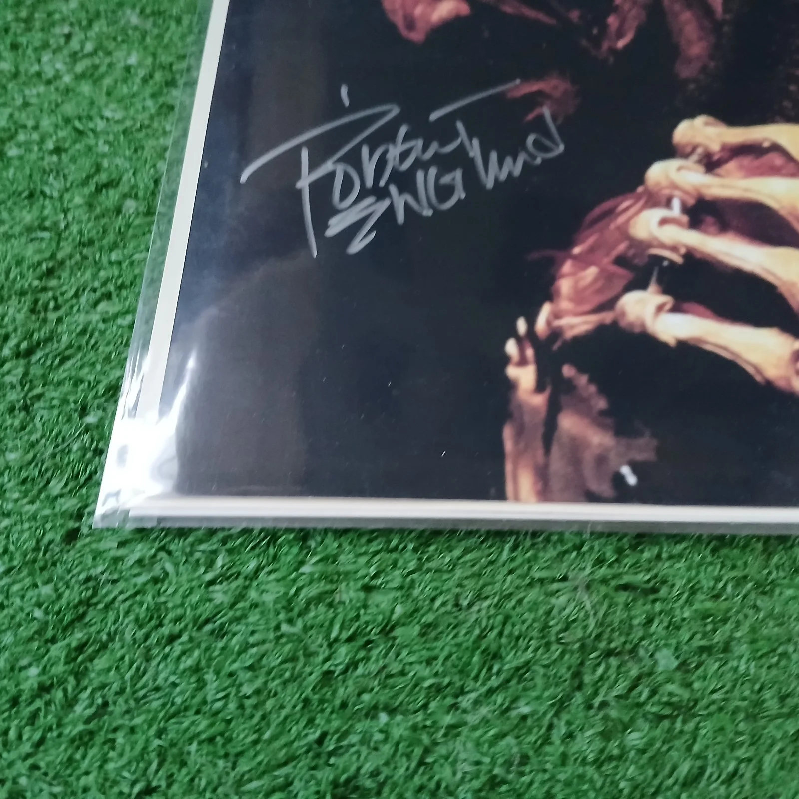 Robert Englund — Robert Englund Autograph SLEEP KILLS Signed 8x10 Freddy Krueger N.O.E S COA, image 5
