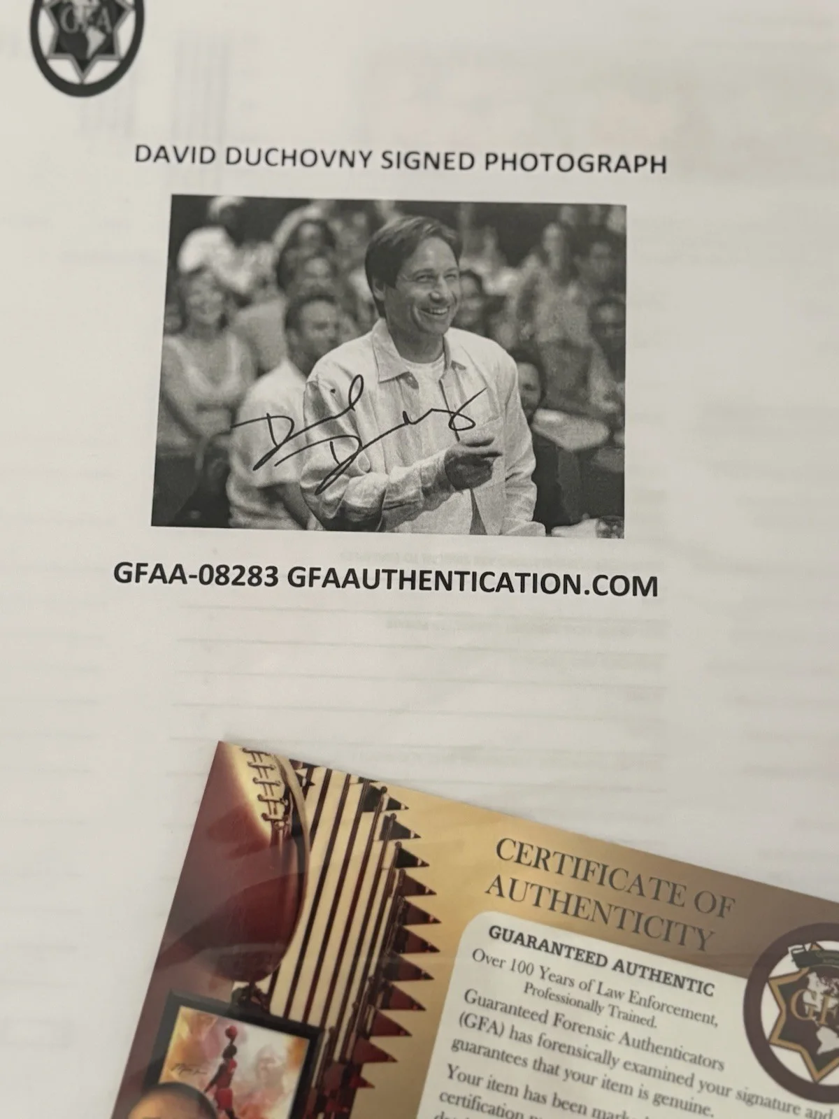 David Duchovny Autographed Photo w/coa, image 3