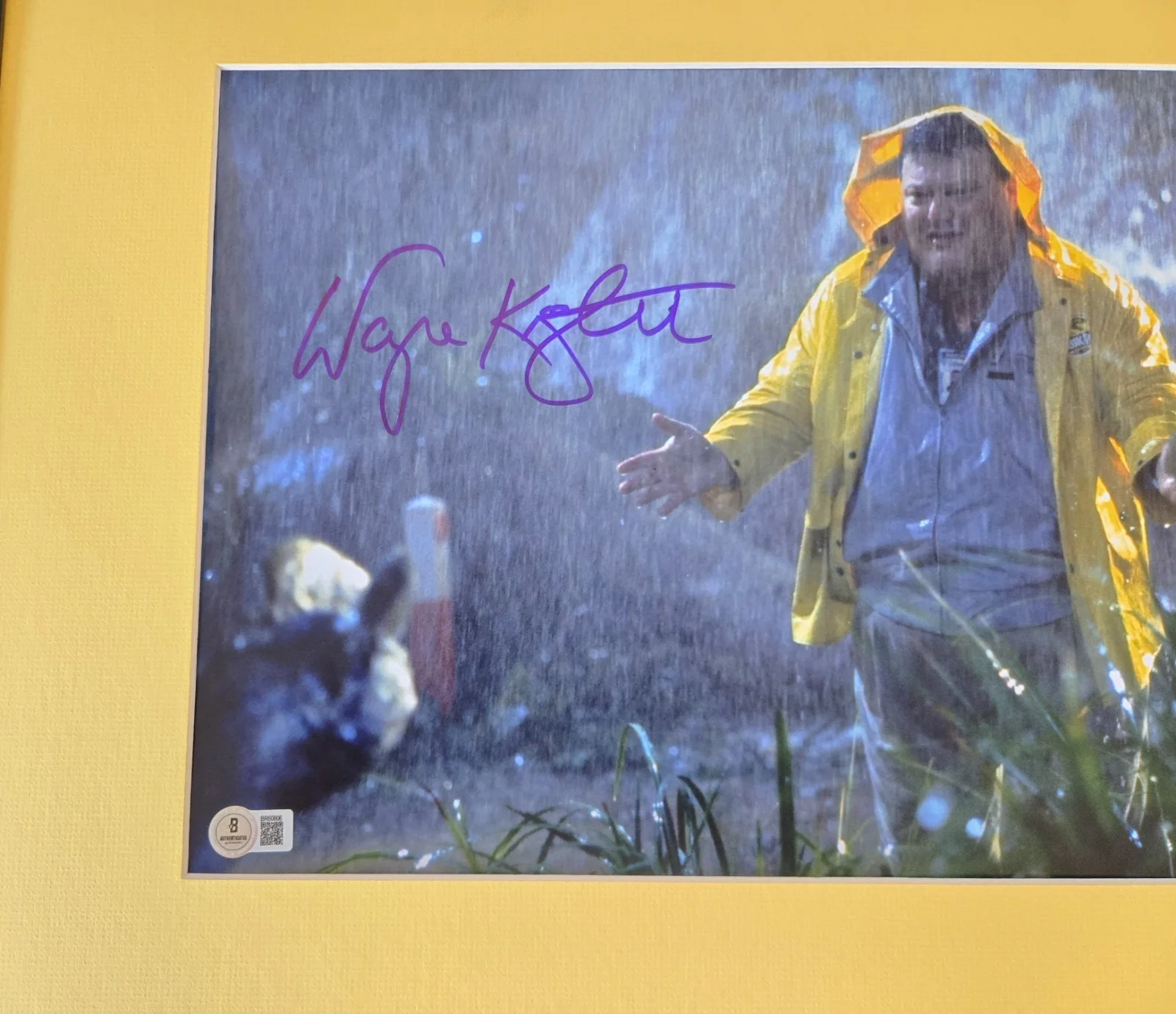 Wayne Knight Signed Photo Framed Display 16x20 BECKETT BAS Jurassic Park Nedry, изображение 2