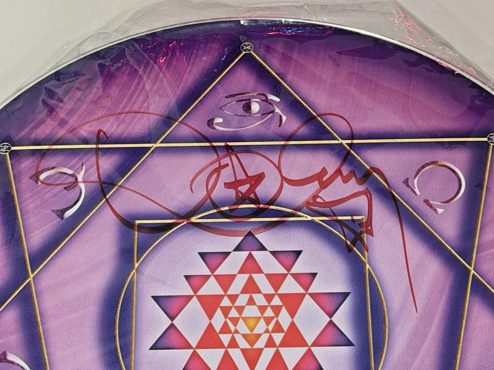 TOOL Danny Carey SIGNED Drumhead 14" Purple Tom Autographed Limited Edition, изображение 2