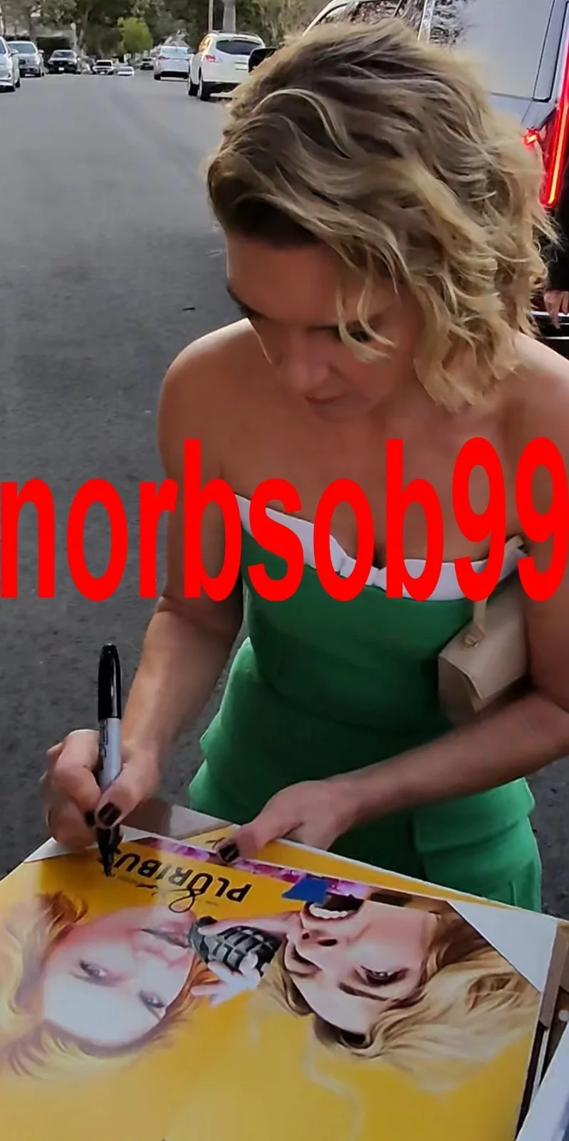 RHEA SEEHORN SIGNED PLURIBUS 8x10 PHOTO E w/EXACT VIDEO PROOF & AUTOGRAPH COA, image 4