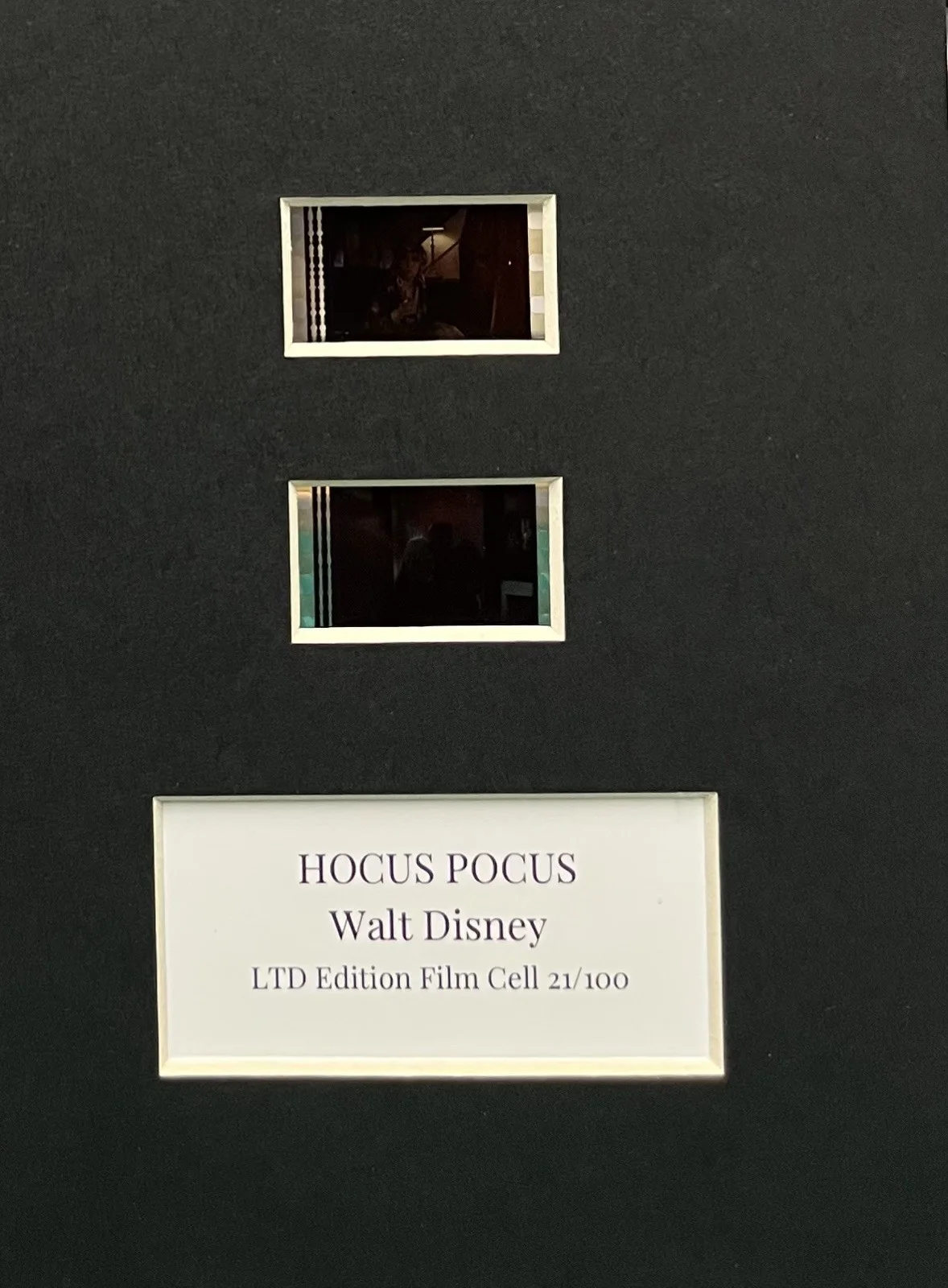 HOCUS POCUS Bette Midler . 35mm Film Cell Mounted Display, image 3