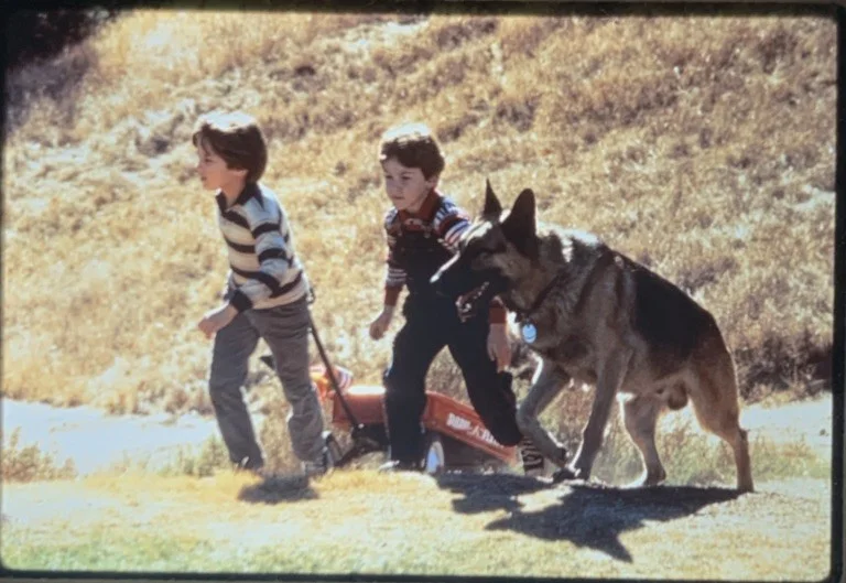 RANSOM Mel Gibson Rene Russo 1996 35mm Publicity Slides x5, изображение 5
