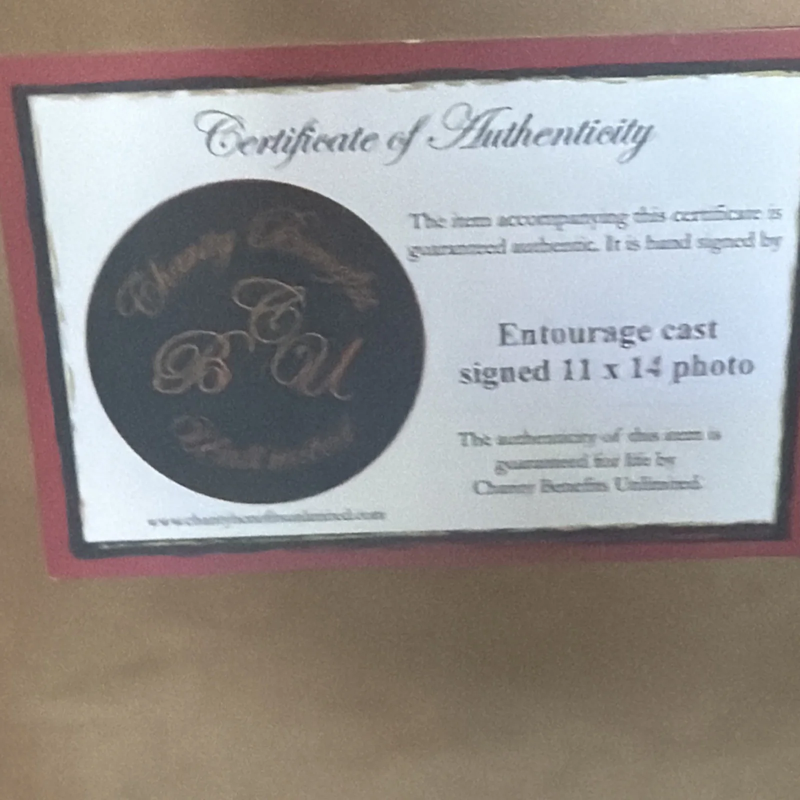 Kevin Connolly, Adrian Grenier, Kevin Dillon, Jeremy Piven, Jerry — Entourage Cast Signed 11x14 Framed Photo Charity Benefits Unlimited, image 3