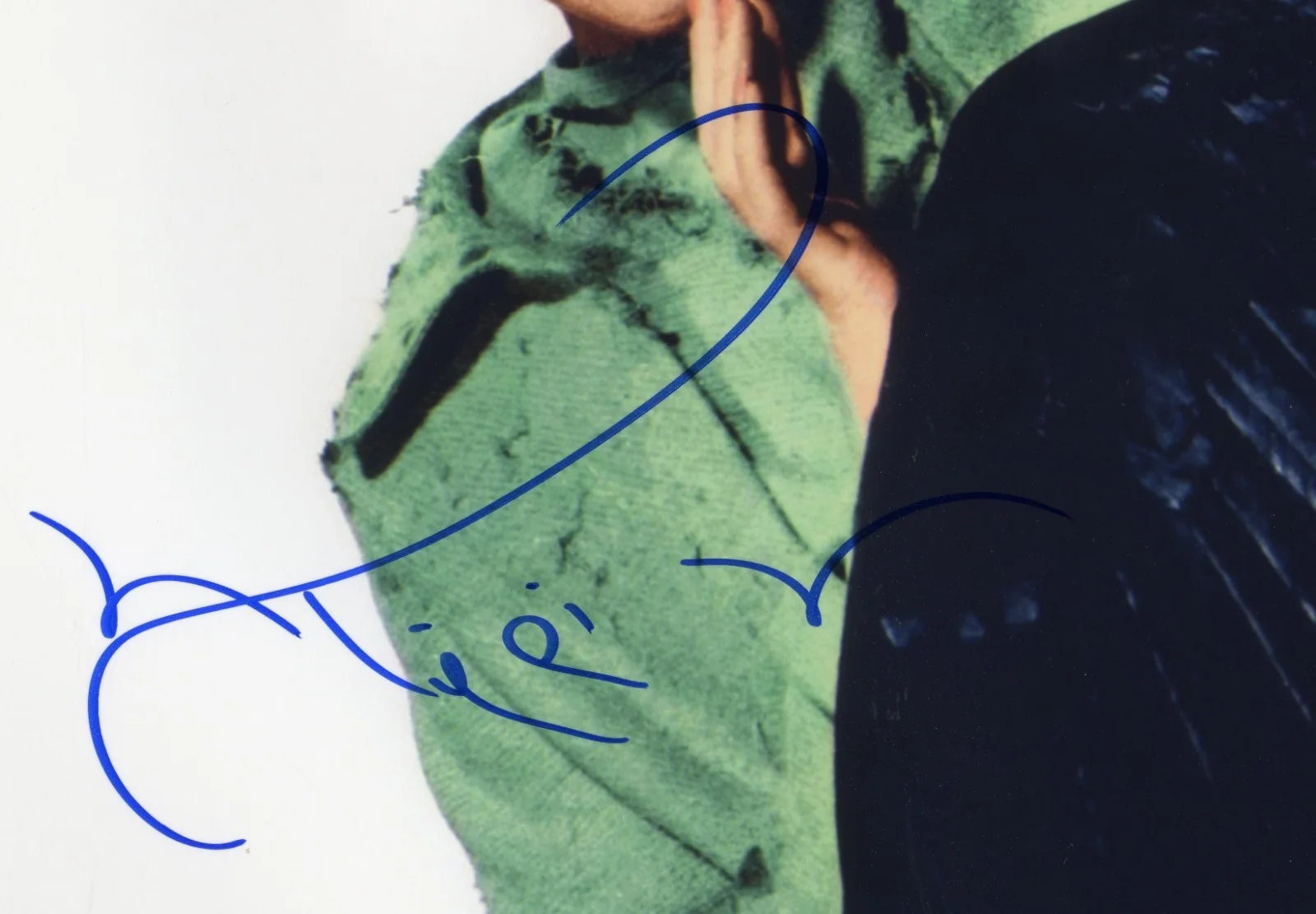 Tipi Hedren — Tipi Hedren Signed 8x10 color photo The Birds FREE shipping, изображение 2