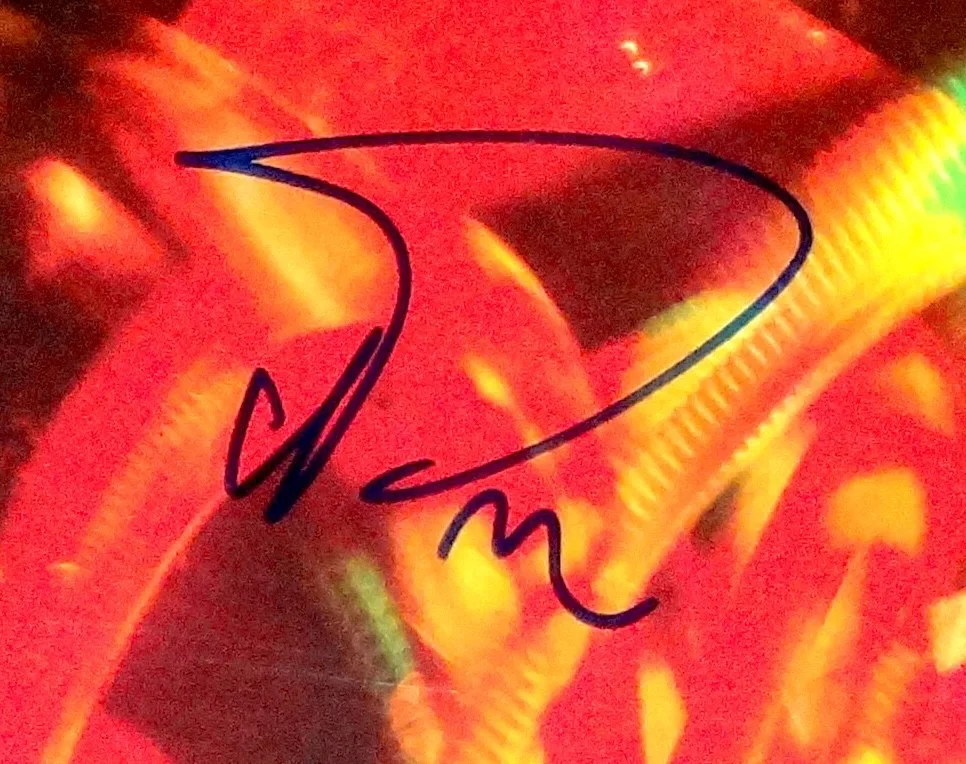 PHISH TREY ANASTASIO BAND HAND SIGNED AUTOGRAPHED BURN IT DOWN VINYL ALBUM PROOF, изображение 2