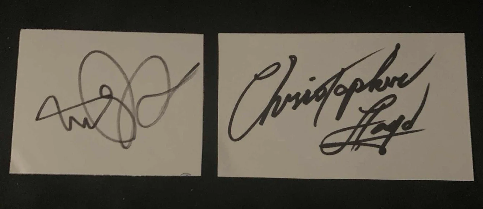 Michael J Fox and Christopher Lloyd Autograph Display Back To The Future, image 2