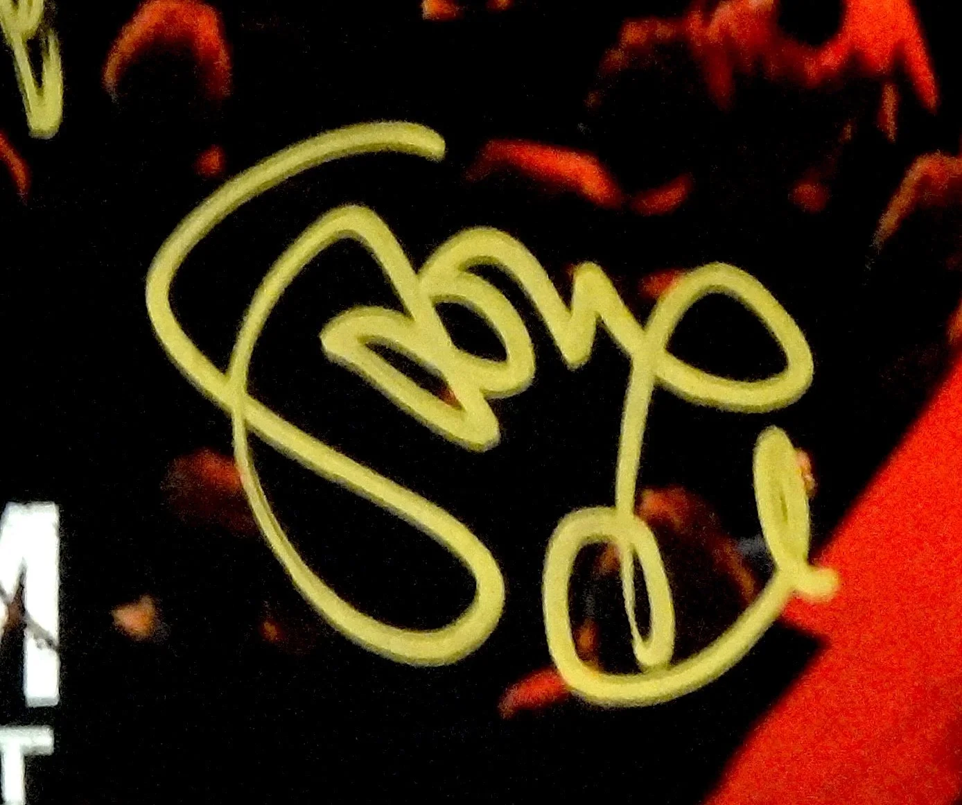 PEARL JAM HAND SIGNED AUTOGRAPHED LIVE AT EASY STREET ALBUM BY ALL 5 RARE/PROOF!, изображение 4