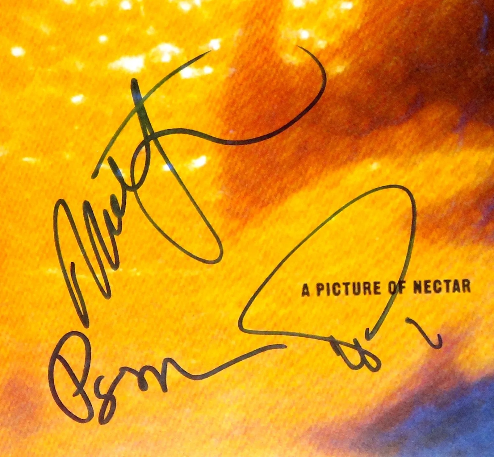 PHISH BAND HAND SIGNED AUTOGRAPHED A PICTURE OF NECTAR ALBUM FLAT BY 3 PROOF+JSA, image 2