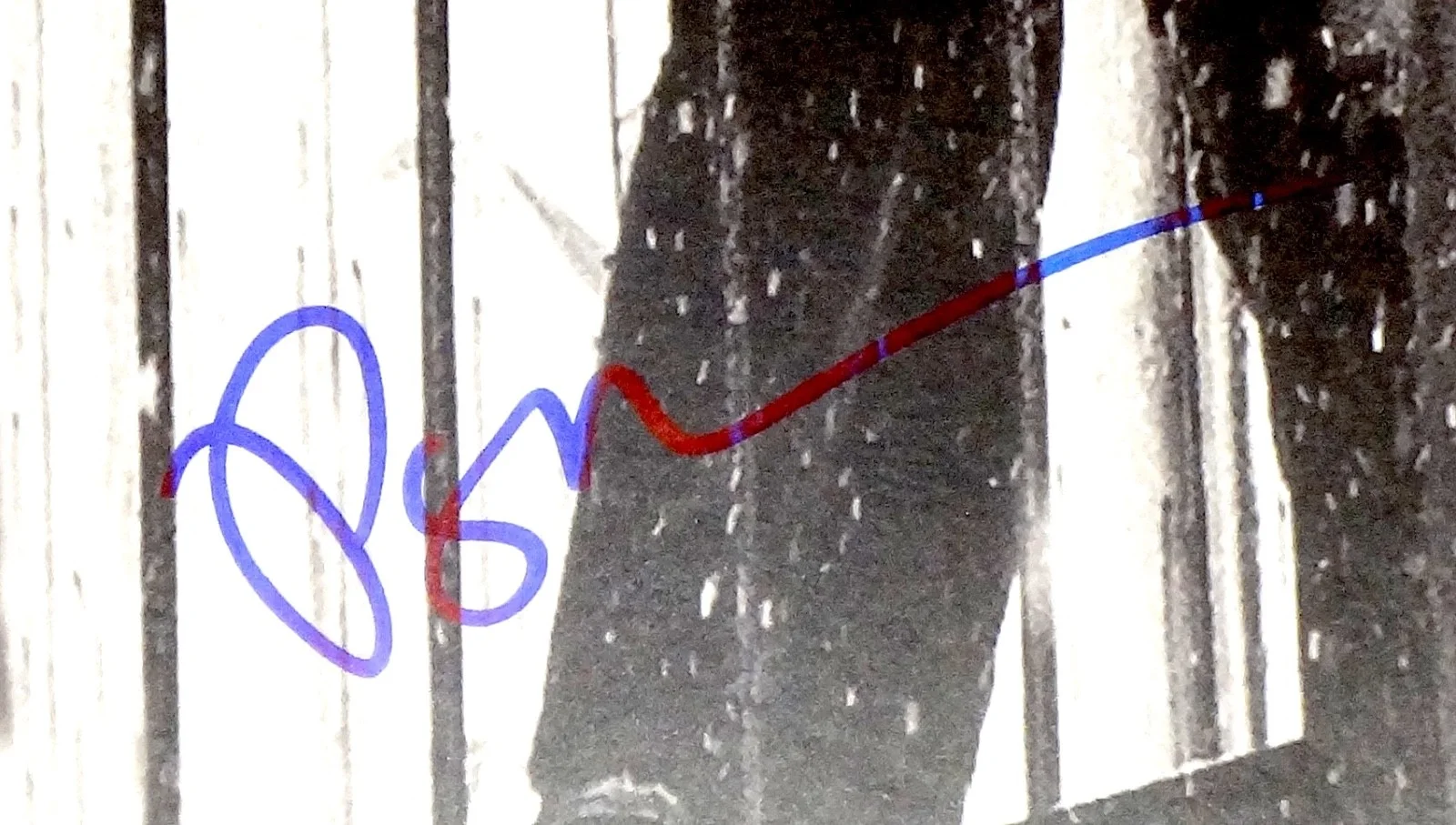 PHISH BAND HAND SIGNED AUTOGRAPHED SIGMA OASIS ALBUM BY 3! WITH PROOF + JSA COA!, изображение 4