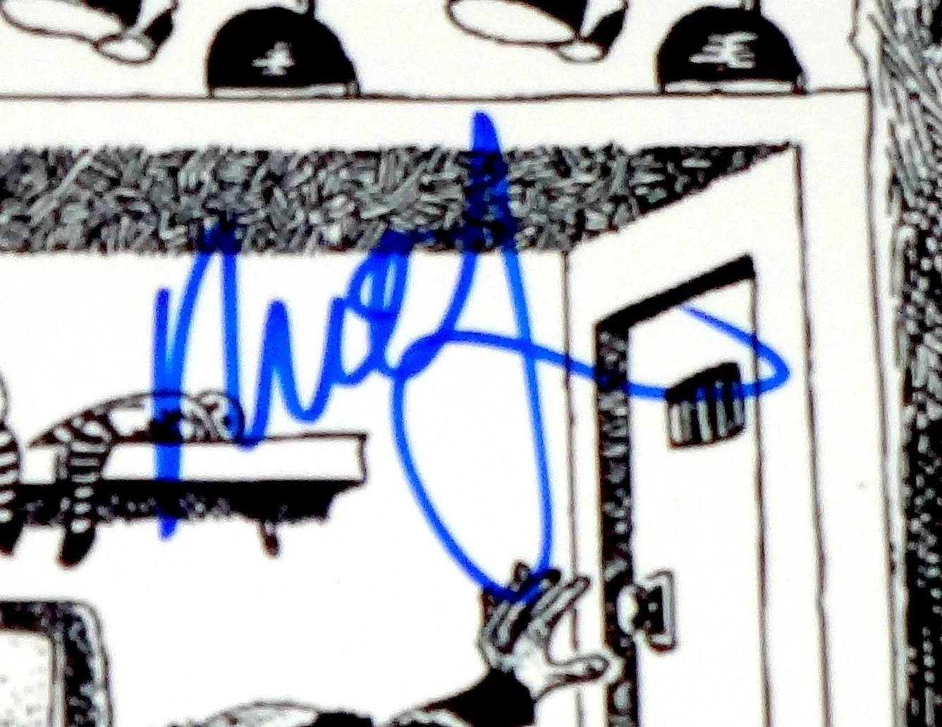 PHISH BAND HAND SIGNED AUTOGRAPHED JUNTA ALBUM FLAT BY 3! RARE WITH PROOF + COA!, image 3