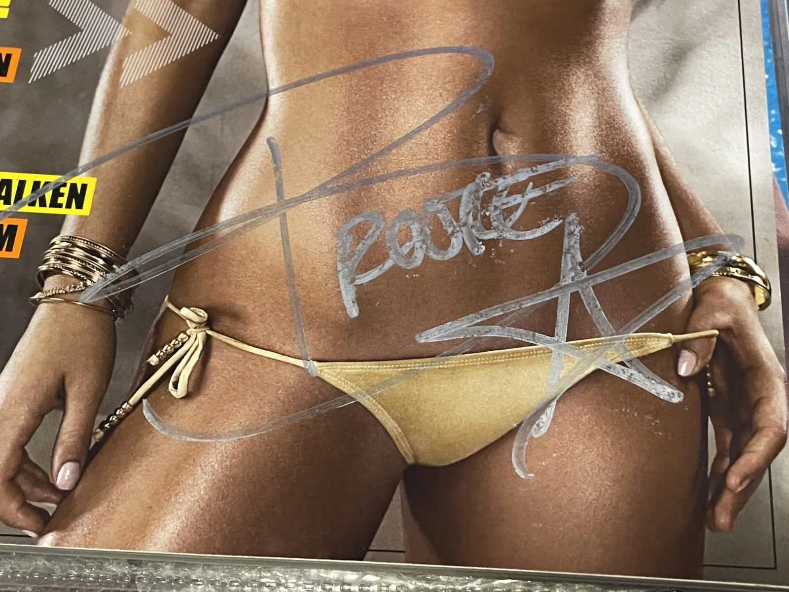Brook Hogan — Brooke Hogan Signed FHM Magazine November 2006 Hulk, изображение 2