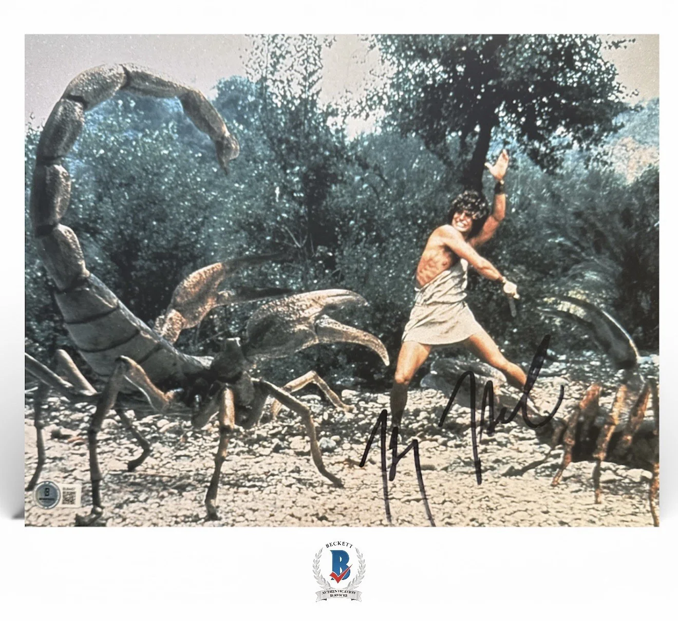 Harry Hamlin — Harry Hamlin Autograph Signed 11x14 Clash of the Titans Photo with Beckett COA