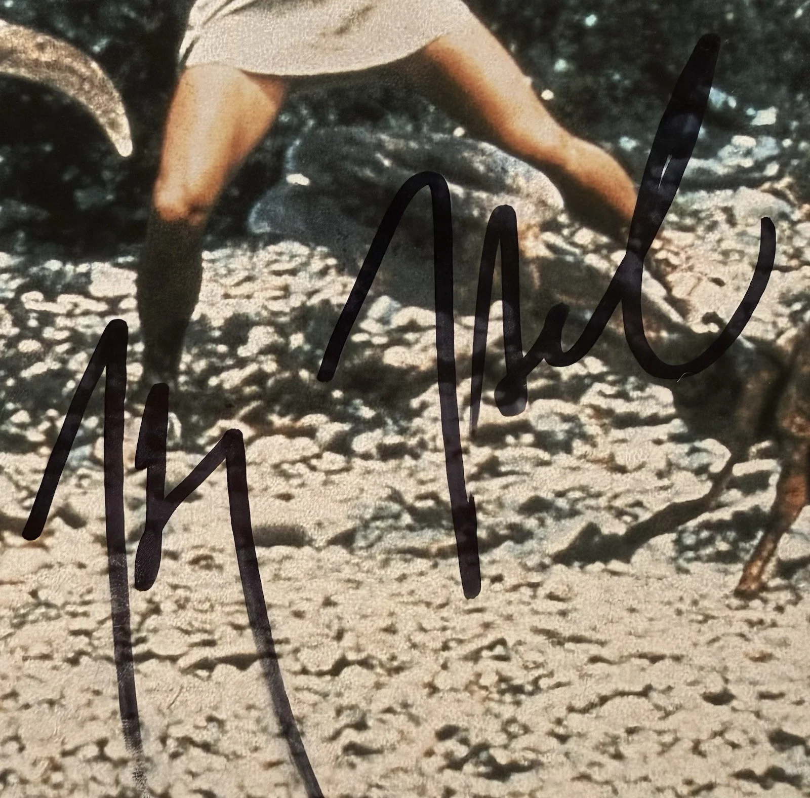 Harry Hamlin — Harry Hamlin Autograph Signed 11x14 Clash of the Titans Photo with Beckett COA, изображение 2