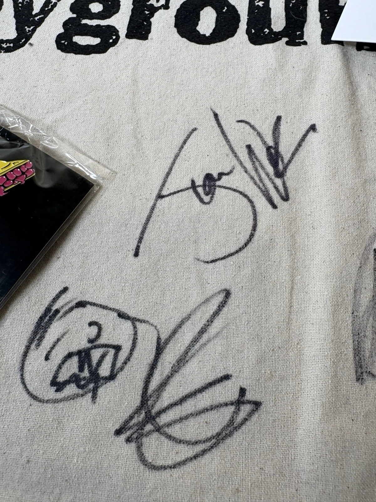 Marcy Playground Tote (Signed), Picture (Signed) and Pin Set, image 5