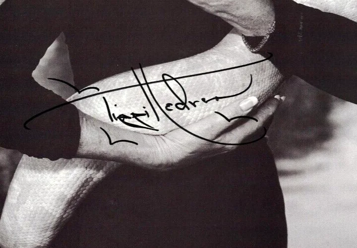 Tippi Hedren — TIPPI HEDREN JSA Autographed 9X13 photo FREE SHIP! Alfred Hitchcock JSA not PSA, изображение 2