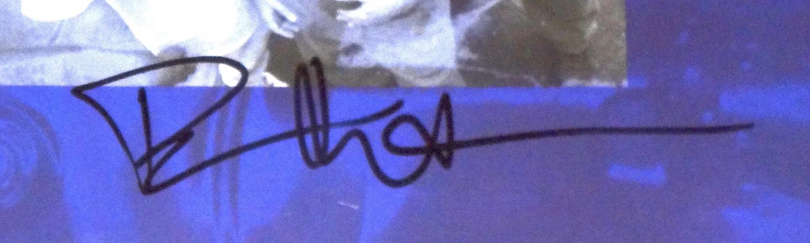 DAVE MATTHEWS DMB HAND SIGNED AUTOGRAPHED CRASH VINYL ALBUM BOOKLET BY 3 W/PROOF, image 2