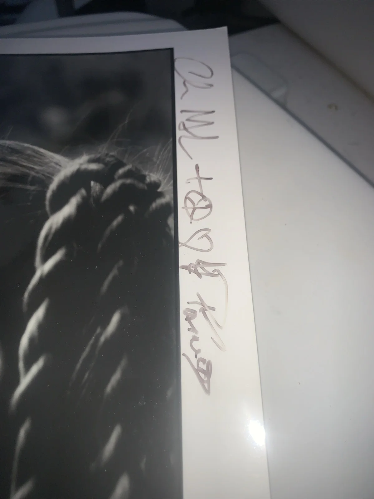 Sister Soleil – Multi-Signed Promotional Photo (“99-“01) Stella Katsoudas + Band, изображение 4