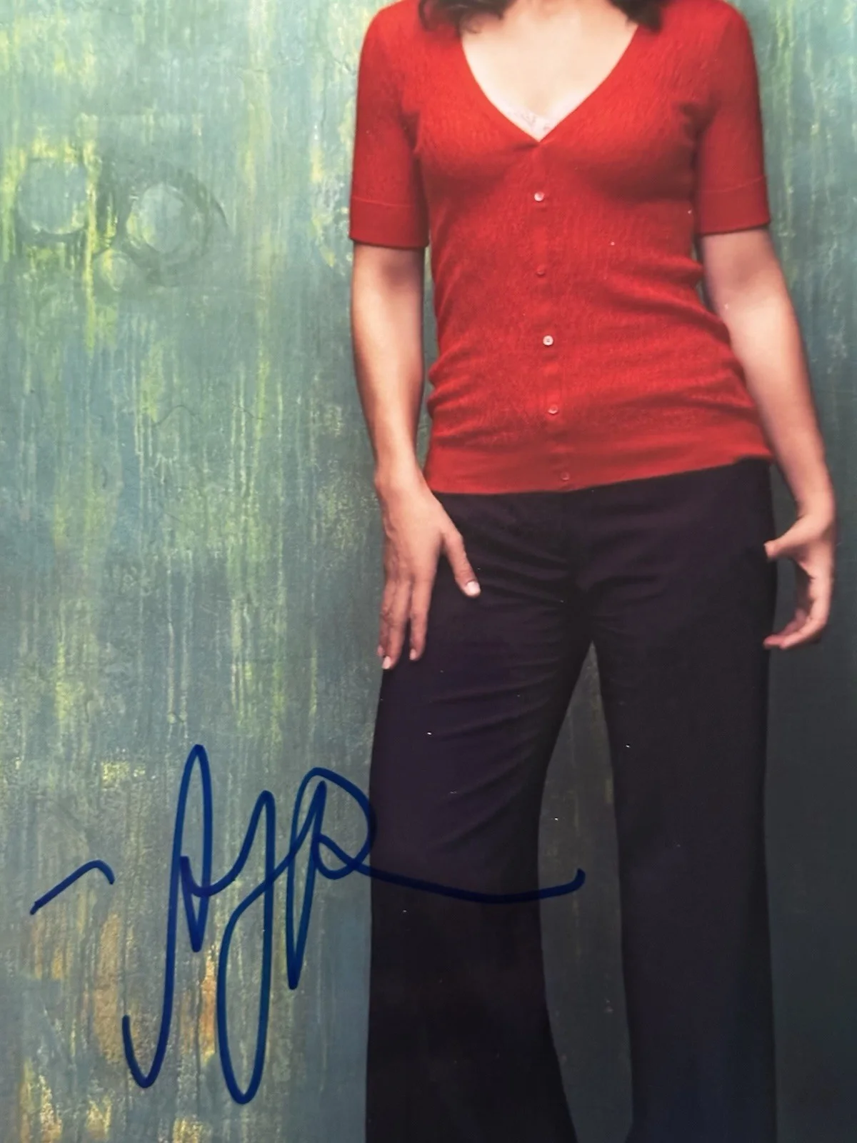 Amy Brenneman — Amy Brenneman Signed 8x10 Photo. Judging Amy. Heat, изображение 2