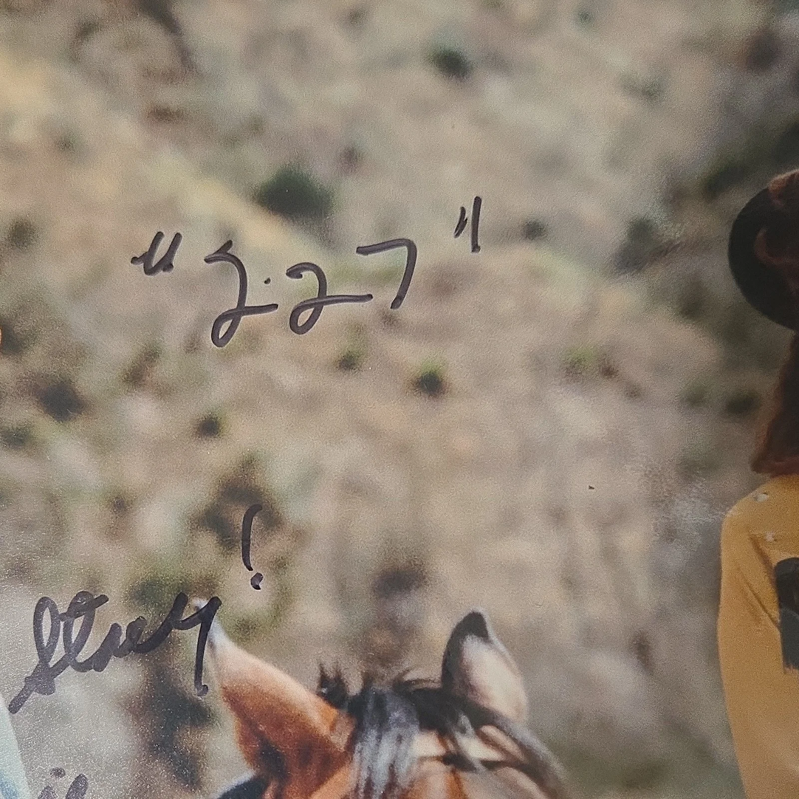 marla riggs Signed Original Movie Photograph Autograph Western Scene Two Actors, изображение 3