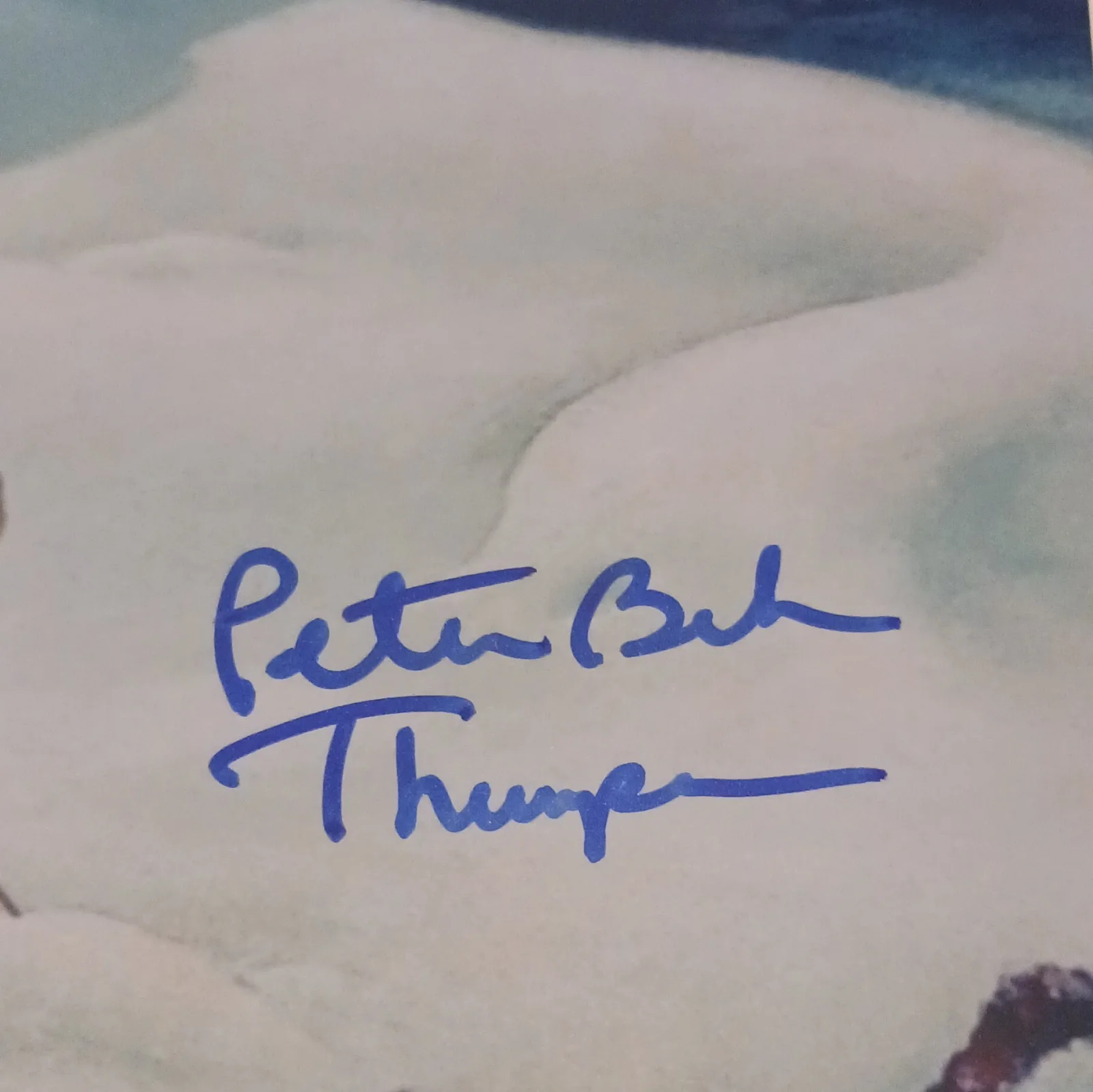 Peter Behn — Peter Behn Signed Original Movie Photo Bambi AutographCOA Authenticated, изображение 2