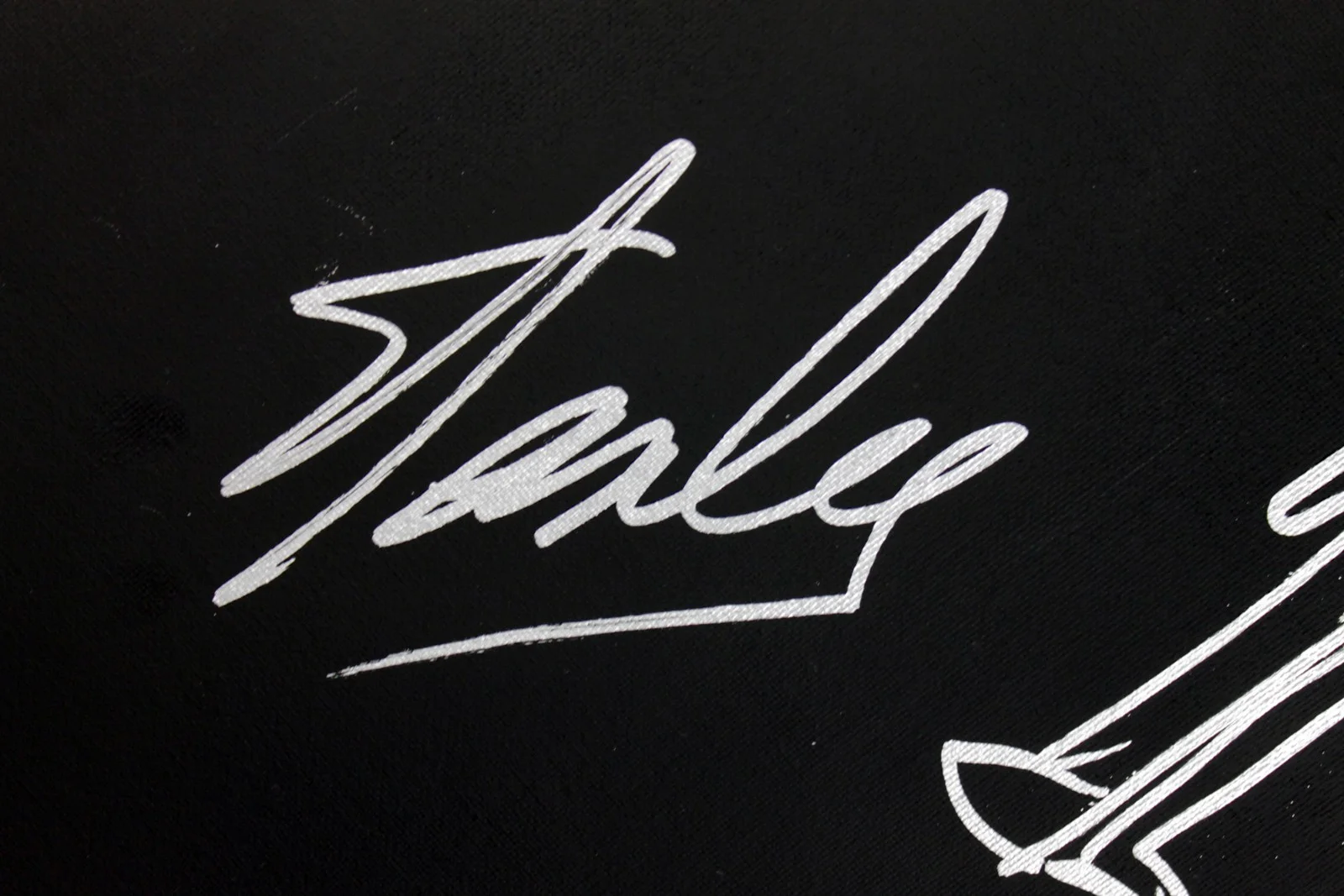 Stan Lee — Stan Lee Authentic Signed 16x20 Canvas w/ Spider-man Sketch PSA/DNA #W00379, изображение 2