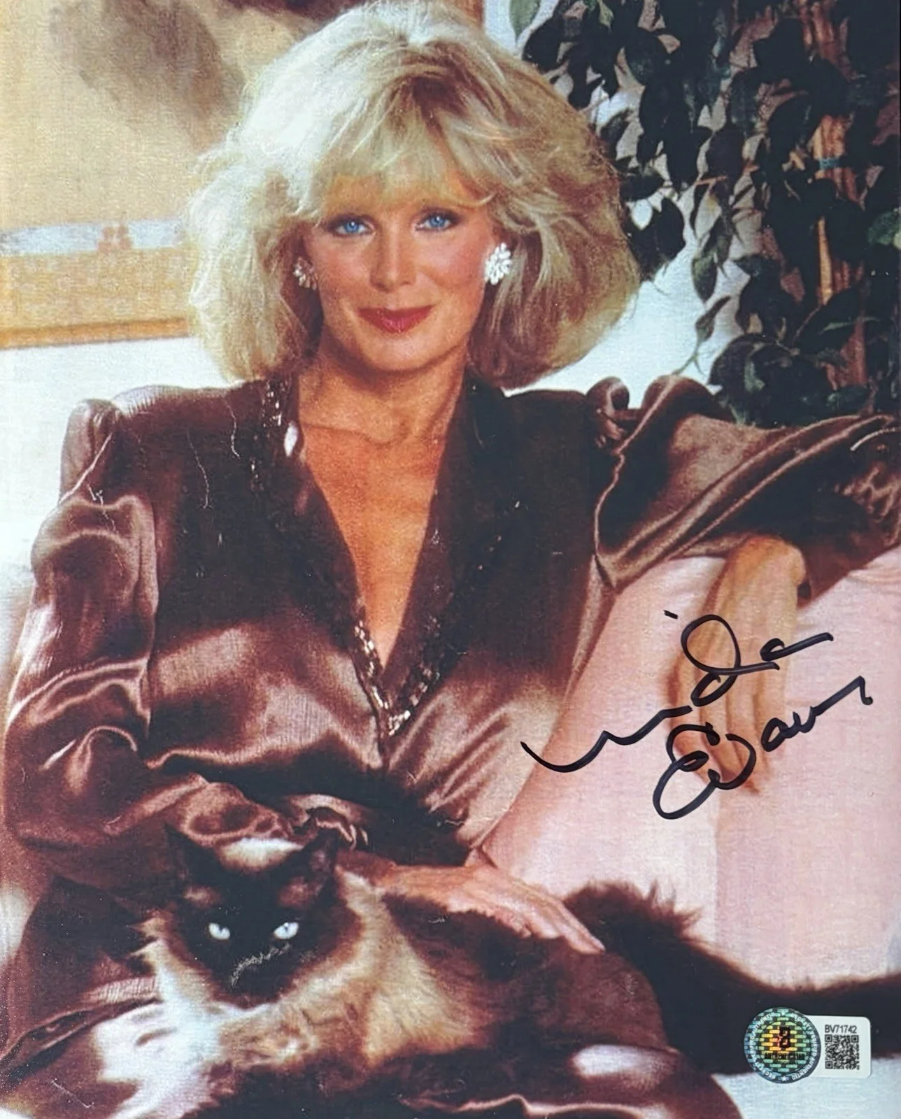 Linda Evans — Linda Evans Signed classic sexy 8x10 photo Beckett BAS COA Autograph
