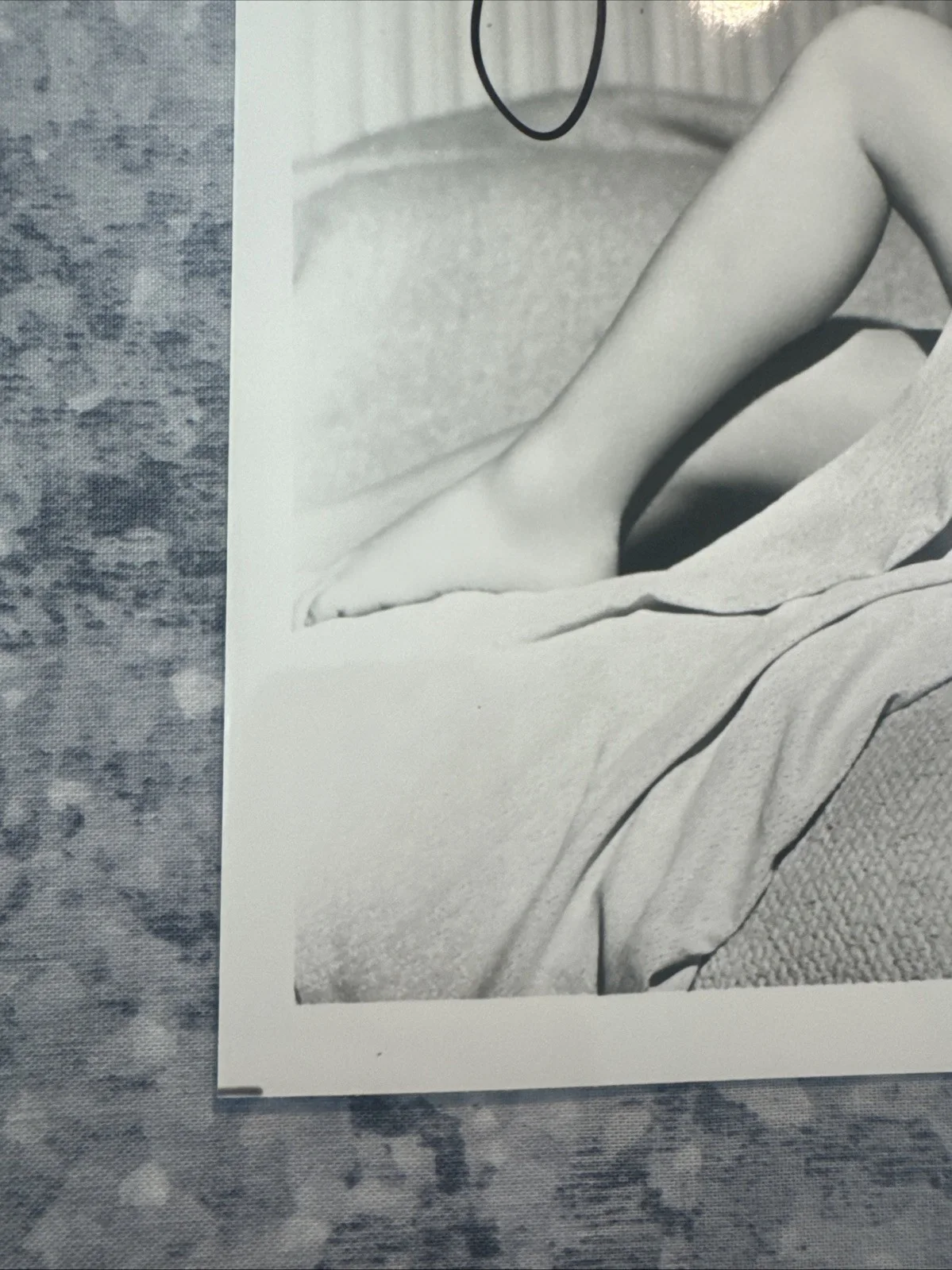 Original Photo 8 X 10 Joan Leslie Autograph Authentic Signed 50’s Actress, изображение 3