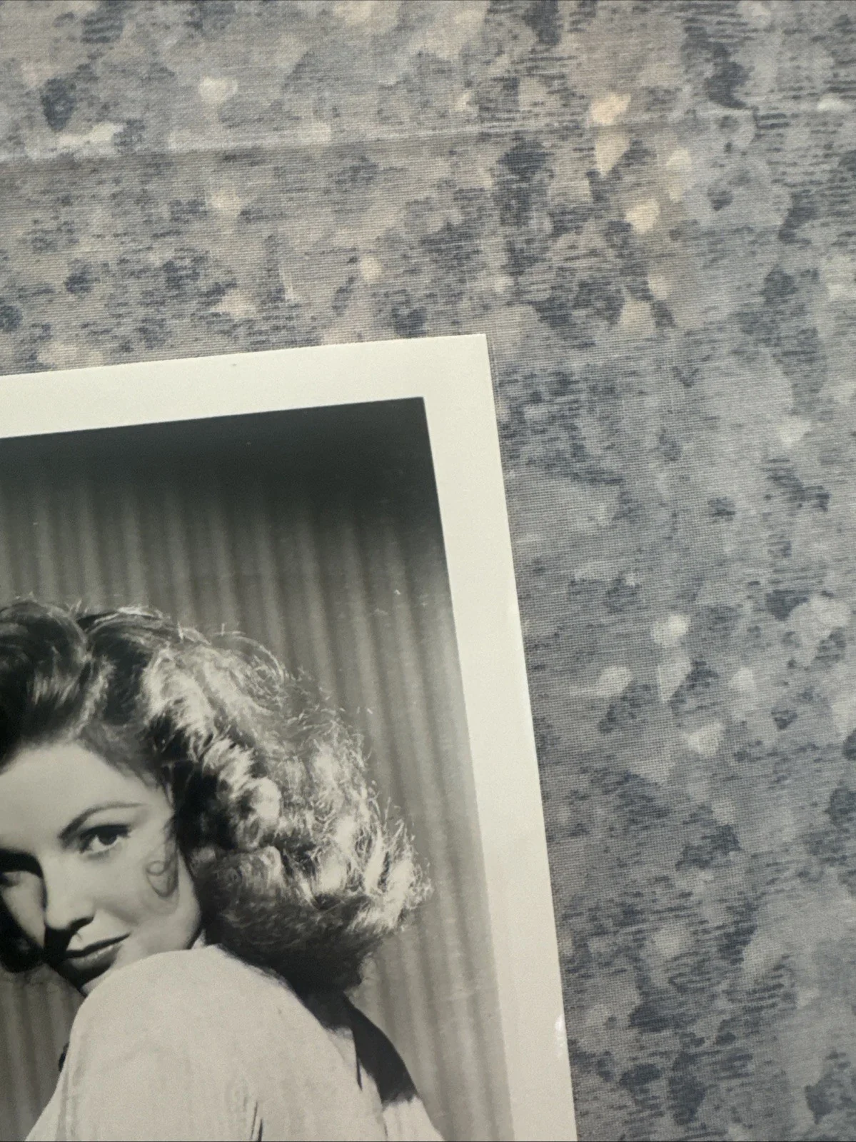 Original Photo 8 X 10 Joan Leslie Autograph Authentic Signed 50’s Actress, изображение 5