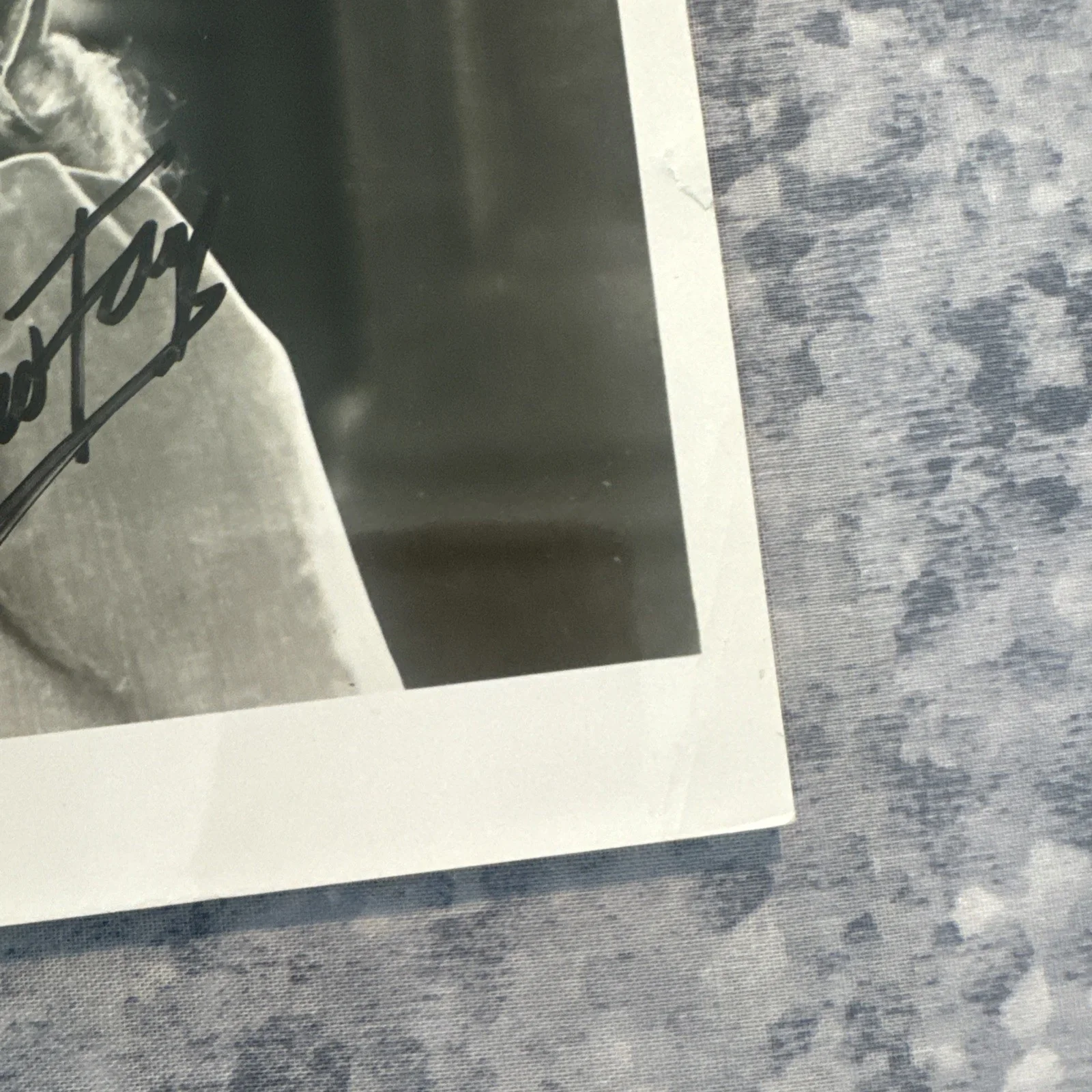 Original Photo 8 X 10 Alice Fay Autograph Authentic Signed 30’s 40’s Actress, image 5