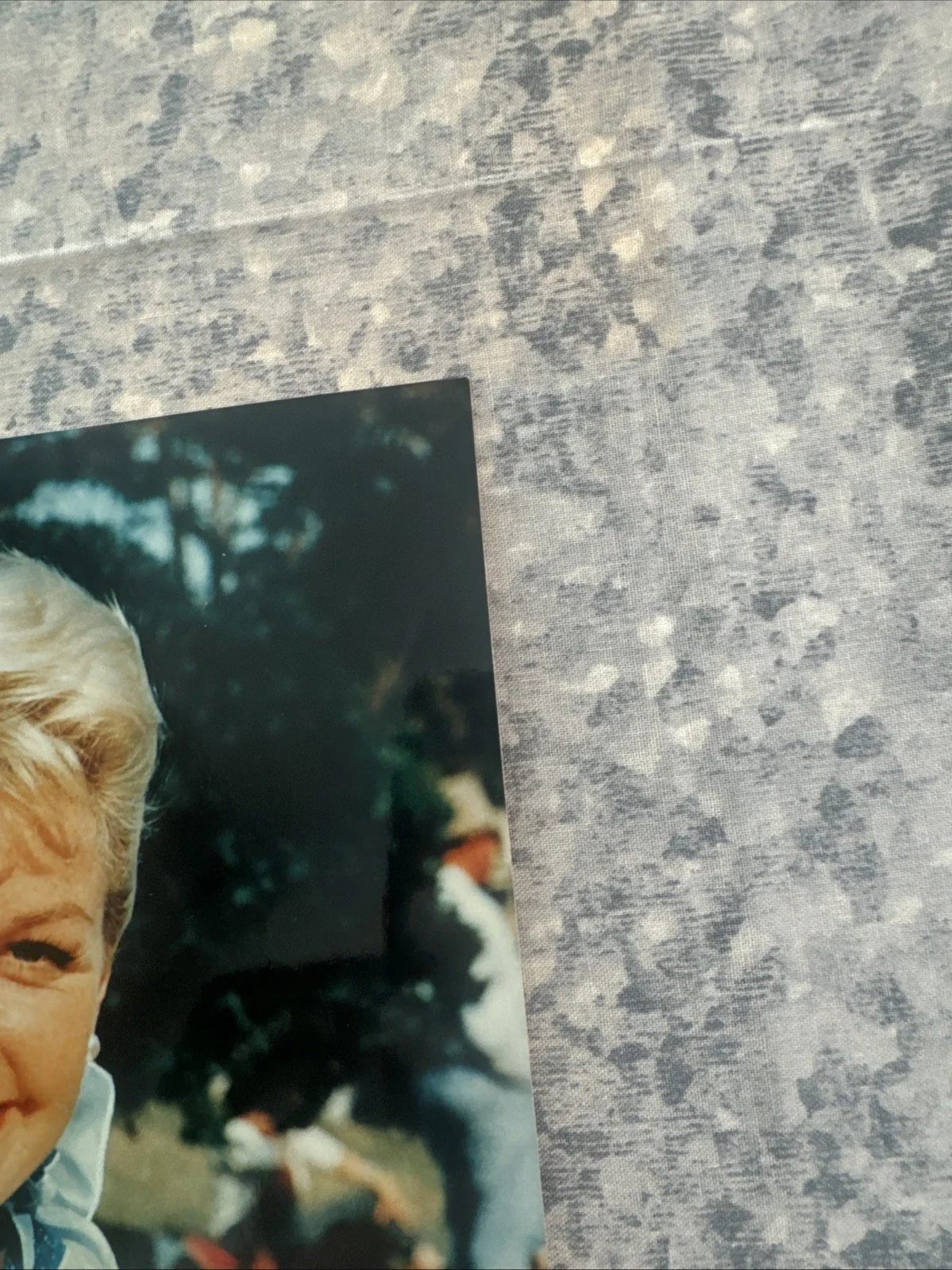 Original Photo 8 X 10 Doris Day Autograph Authentic Signed Singer Actress, image 5