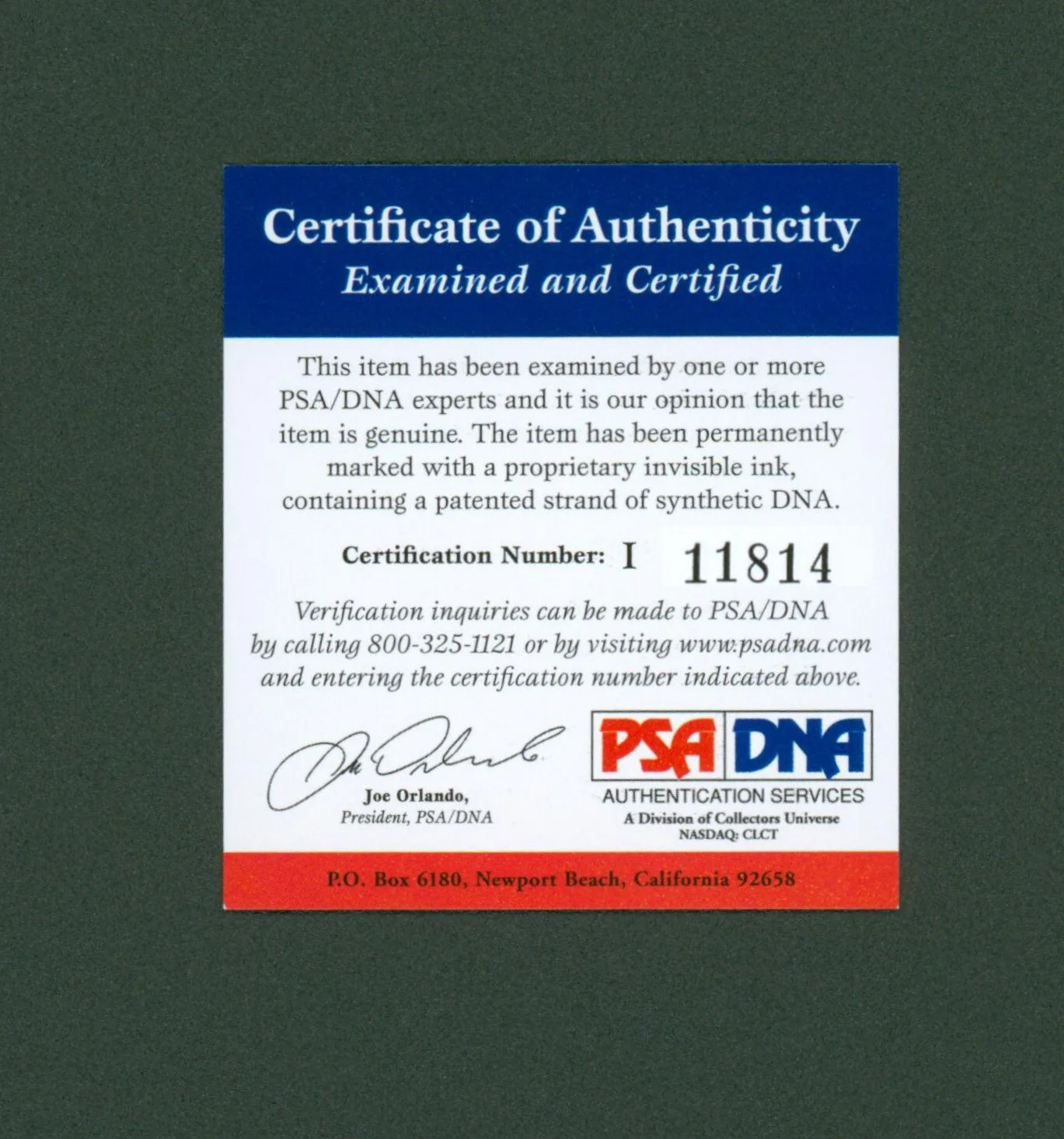 Elisha Cuthbert — Elisha Cuthbert Signed PSA/DNA COA Autographed 8X10 Girl Next Door Photo Auto, изображение 3