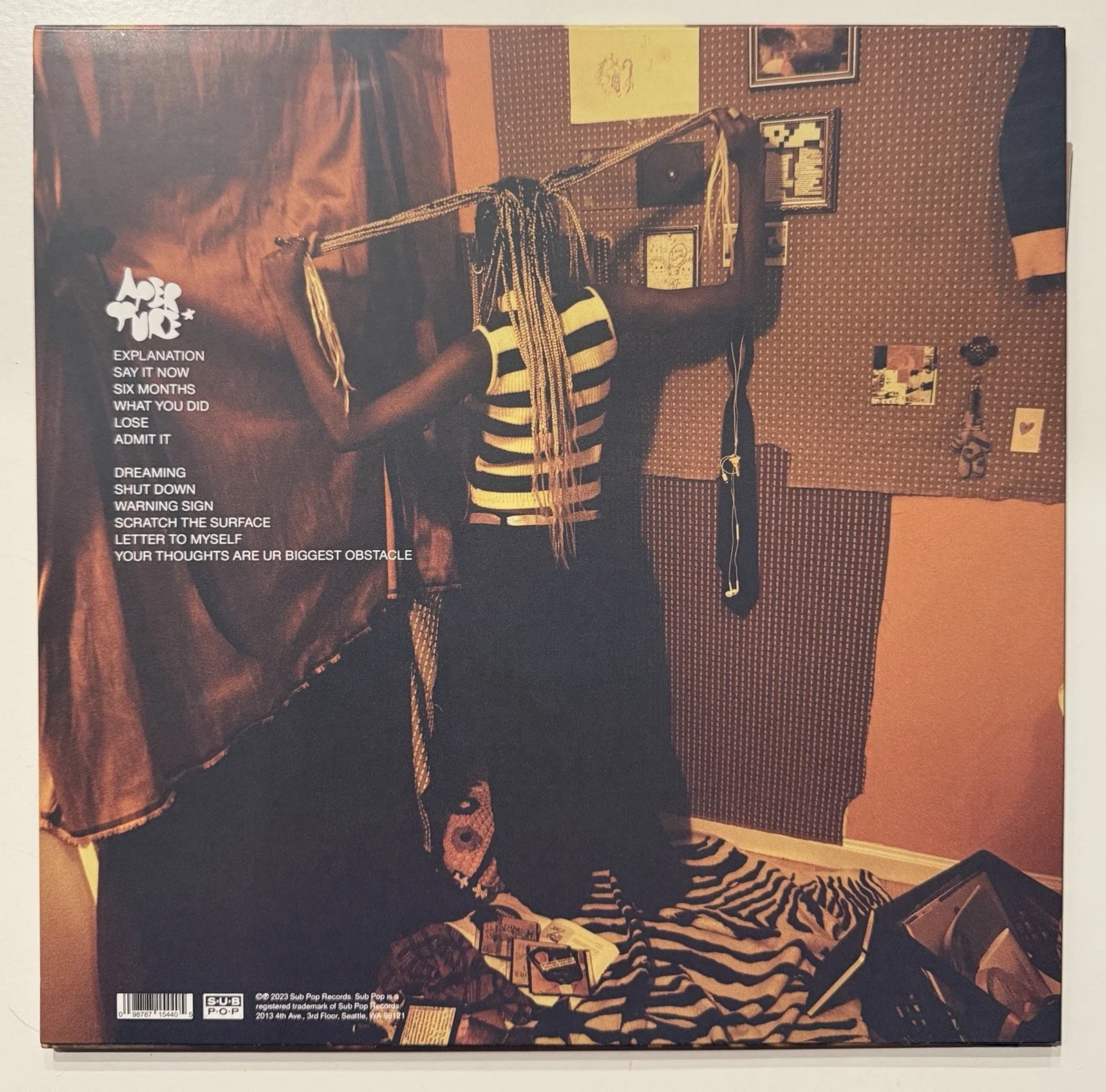Hannah Jadagu- SIGNED Cover Vinyl- Aperture- 1LP- Rare, изображение 3