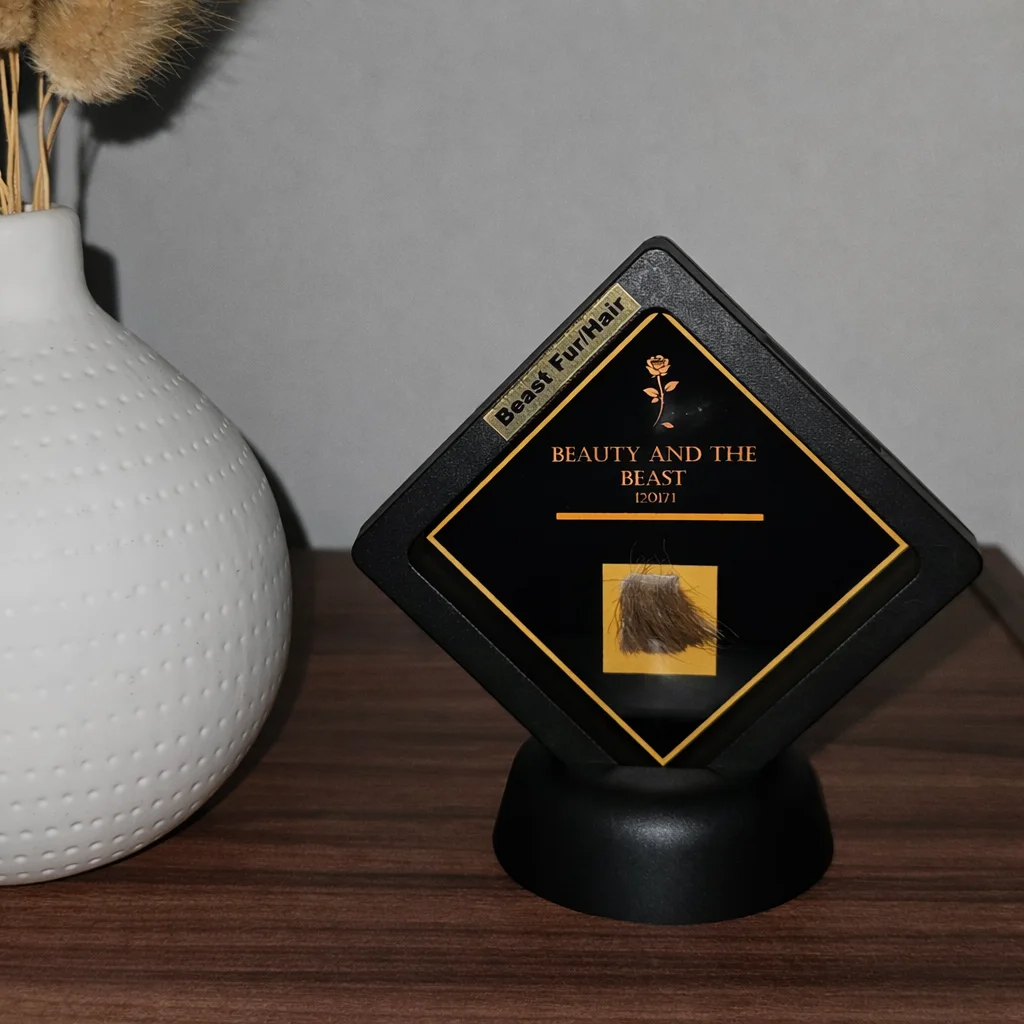 RARE - Beauty and the Beast: Piece of the Beast test fur encased in black frame, изображение 3