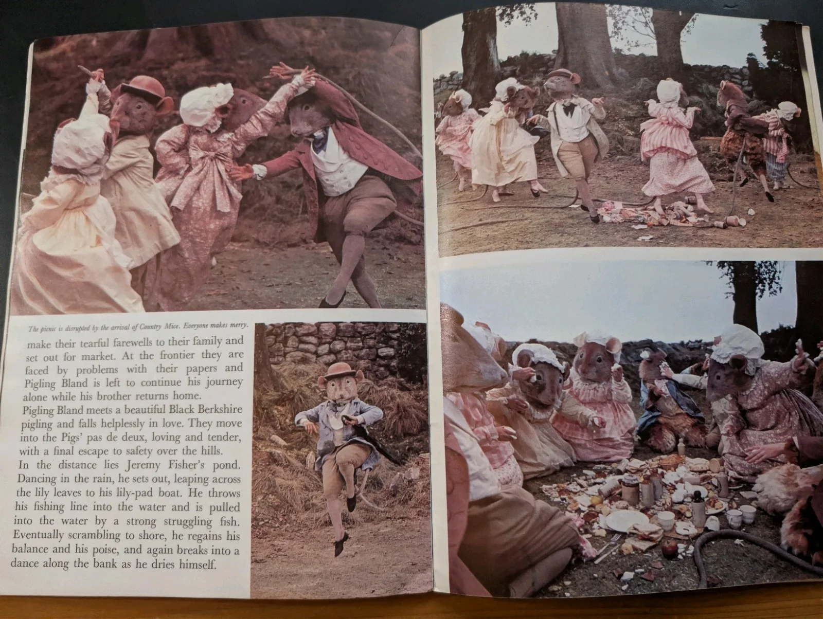 Vintage Tales of Beatrix Potter Royal Ballet Film Programme 1970s Covent Garden, изображение 5