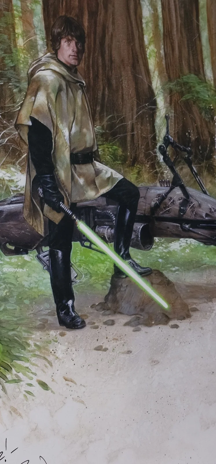 Dave Dorman — Star Wars Luke Skywalker Forest Moon Of Endor Signed Photo Print Dave Dorman, изображение 5